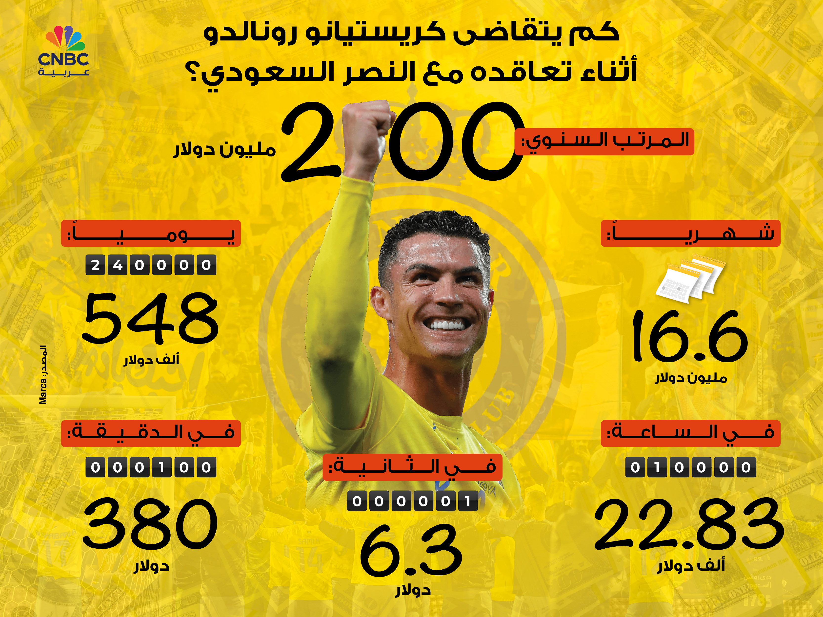 alt for 00776171ca.jpg 