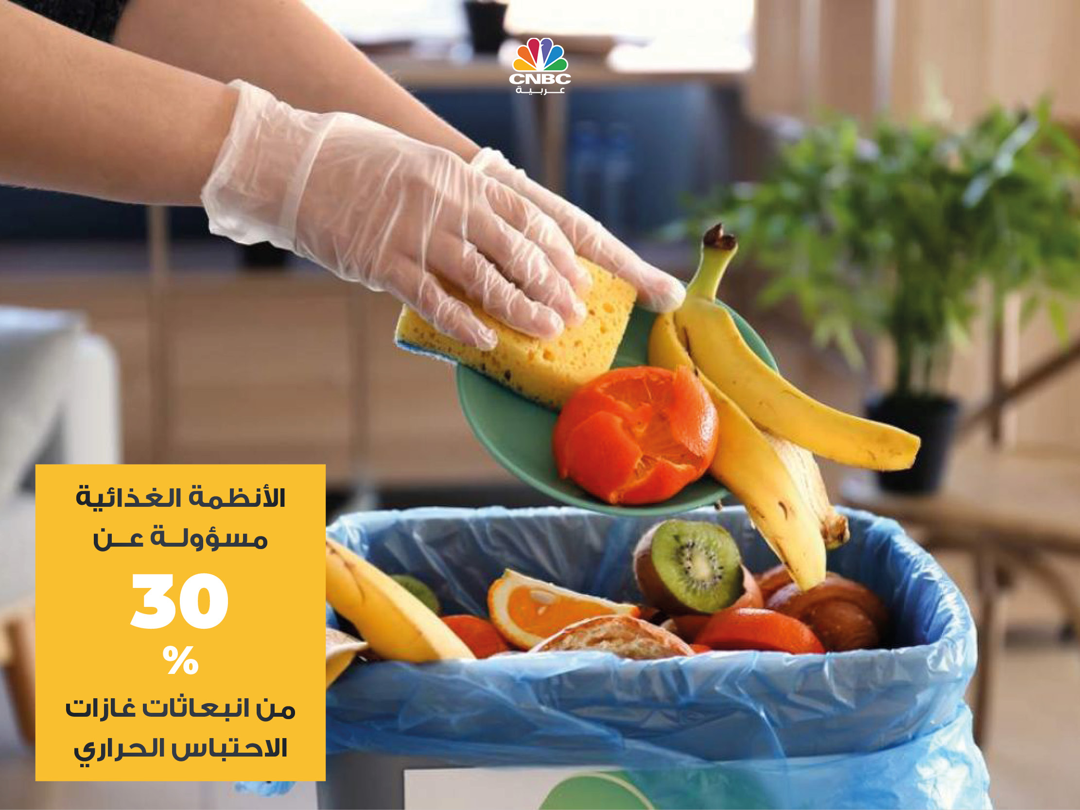 alt for 04856f283e.jpg 