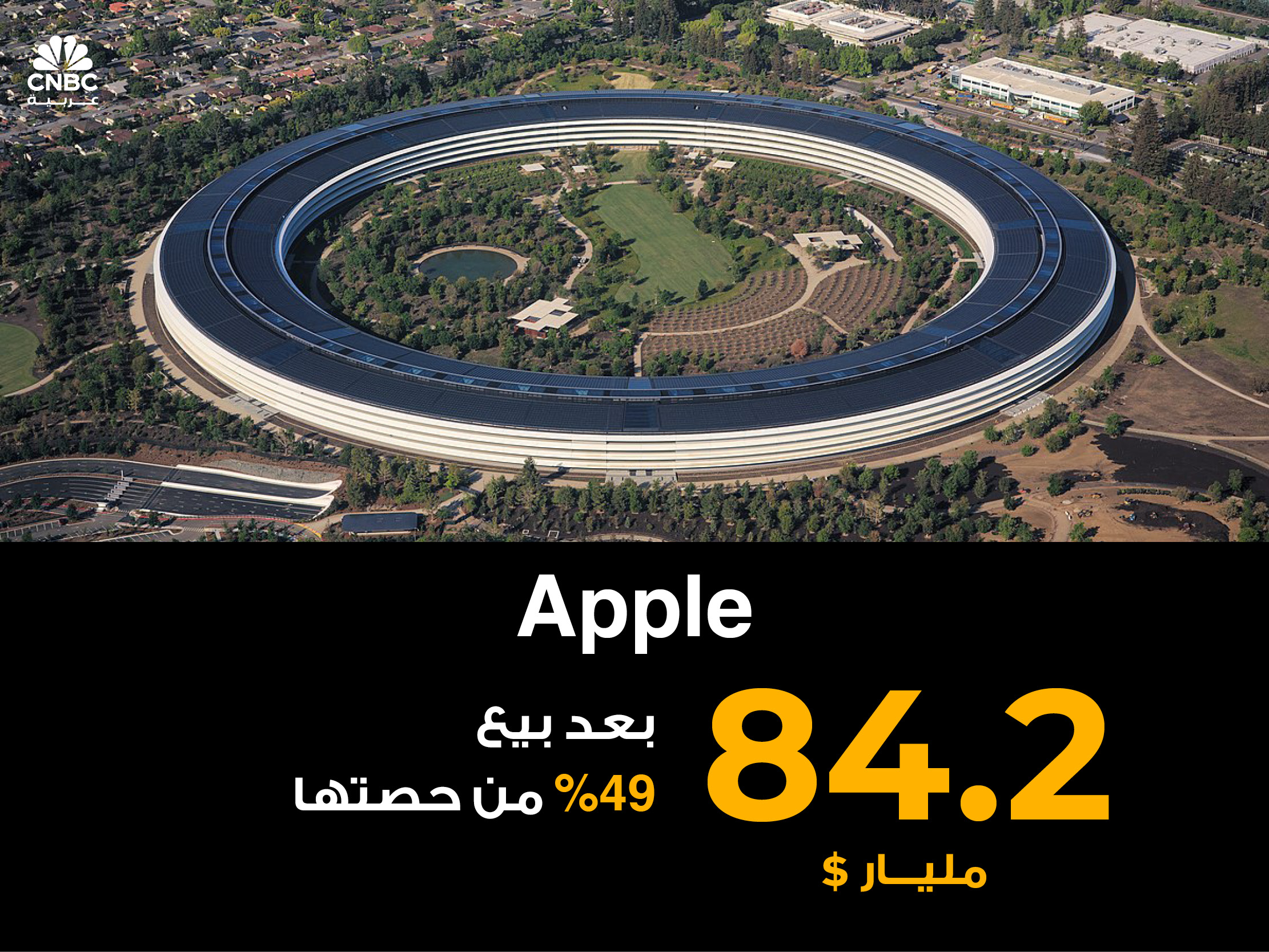 alt for 048810dcca.jpg 