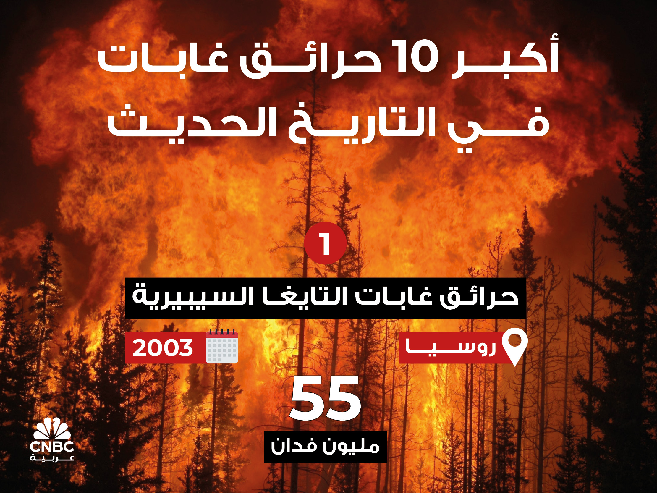 alt for 04a147923b.jpg 