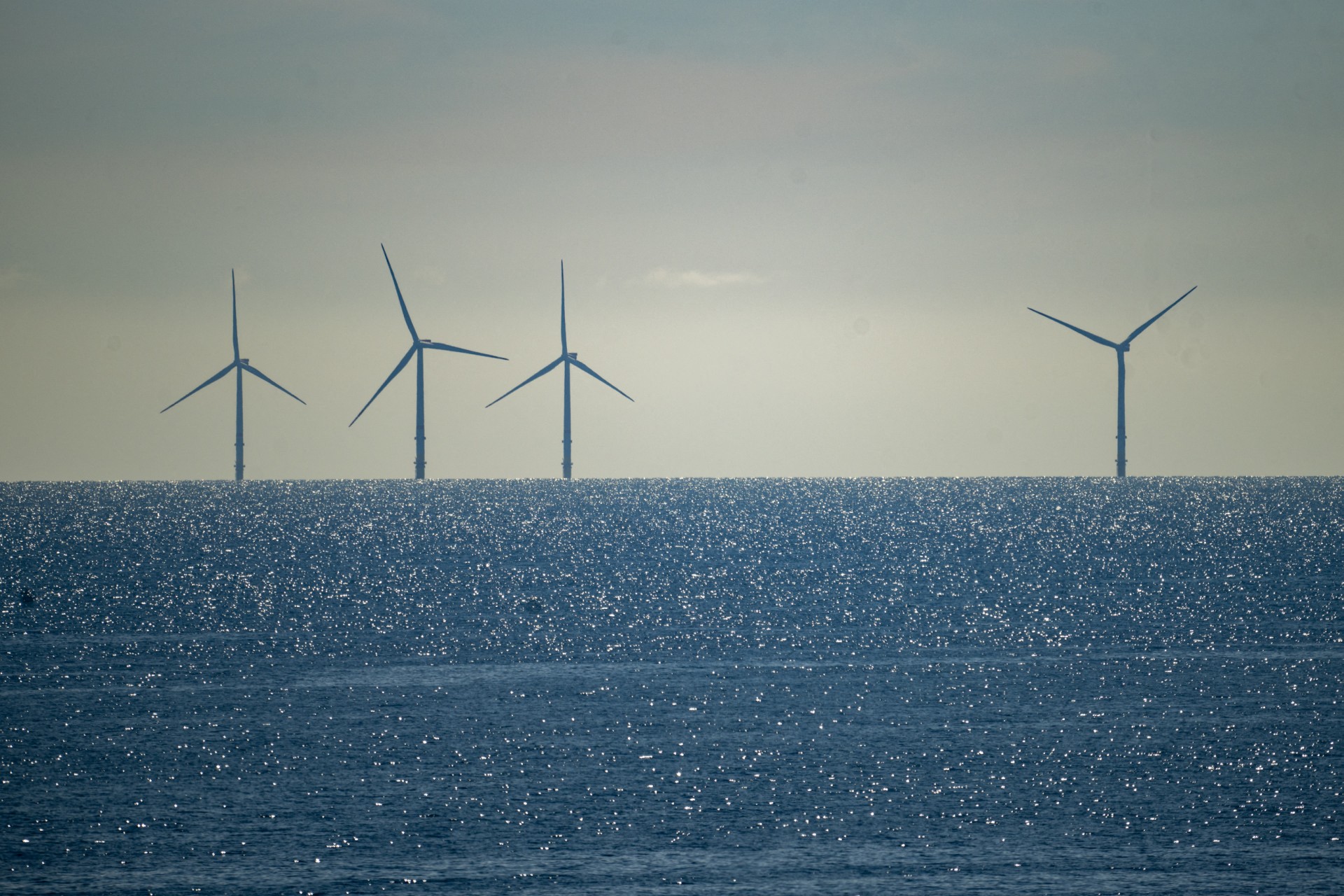 شركة دنماركية ترفع دعوى قضائية ضد قرار ترامب إيقاف مشروع بقيمة 5 مليارات دولار 