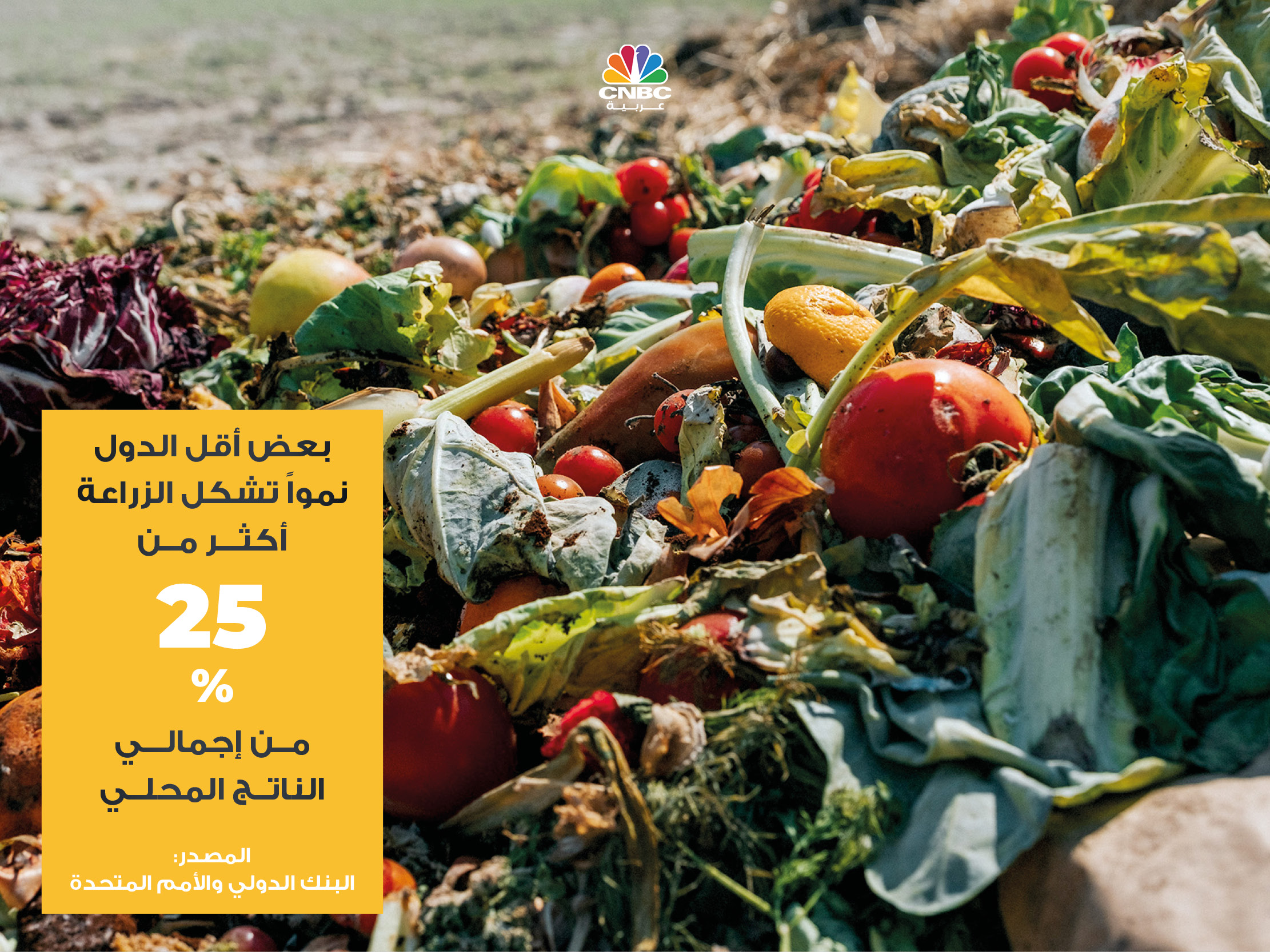 alt for 104d3238645.jpg 