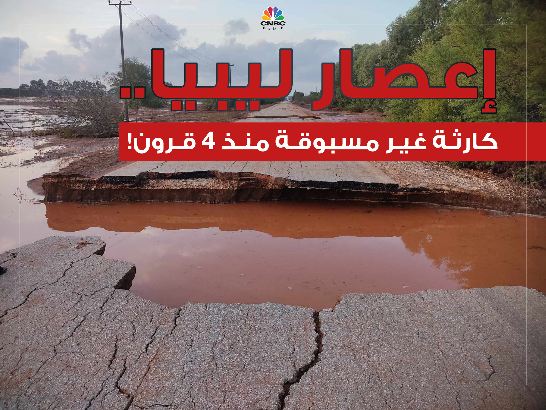 alt for 105516f8ae.jpg 