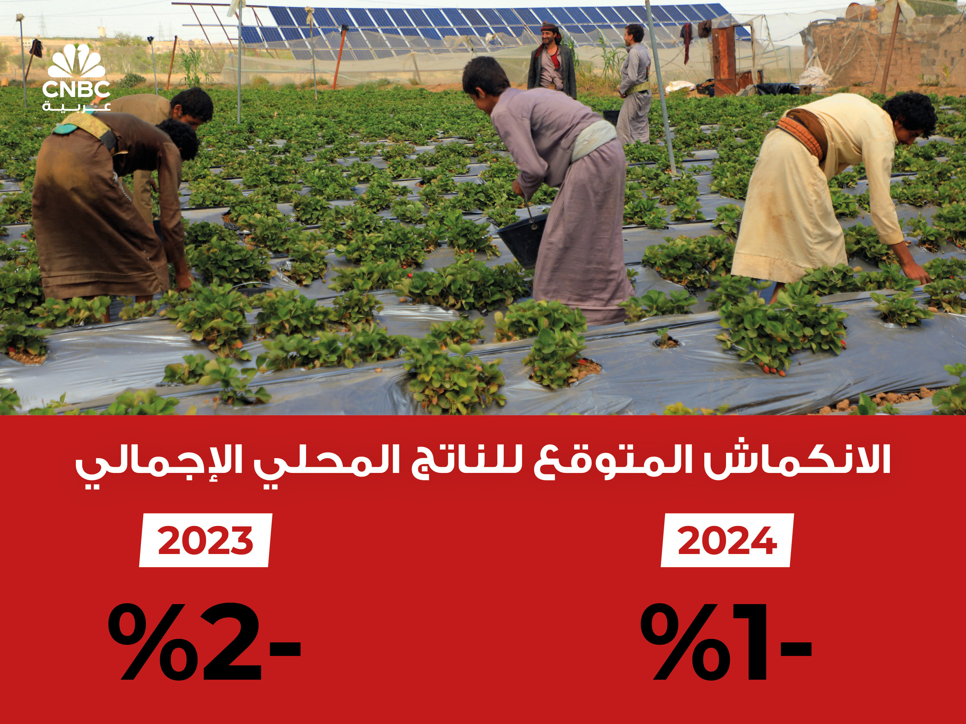 alt for 1535ec81053.jpg 