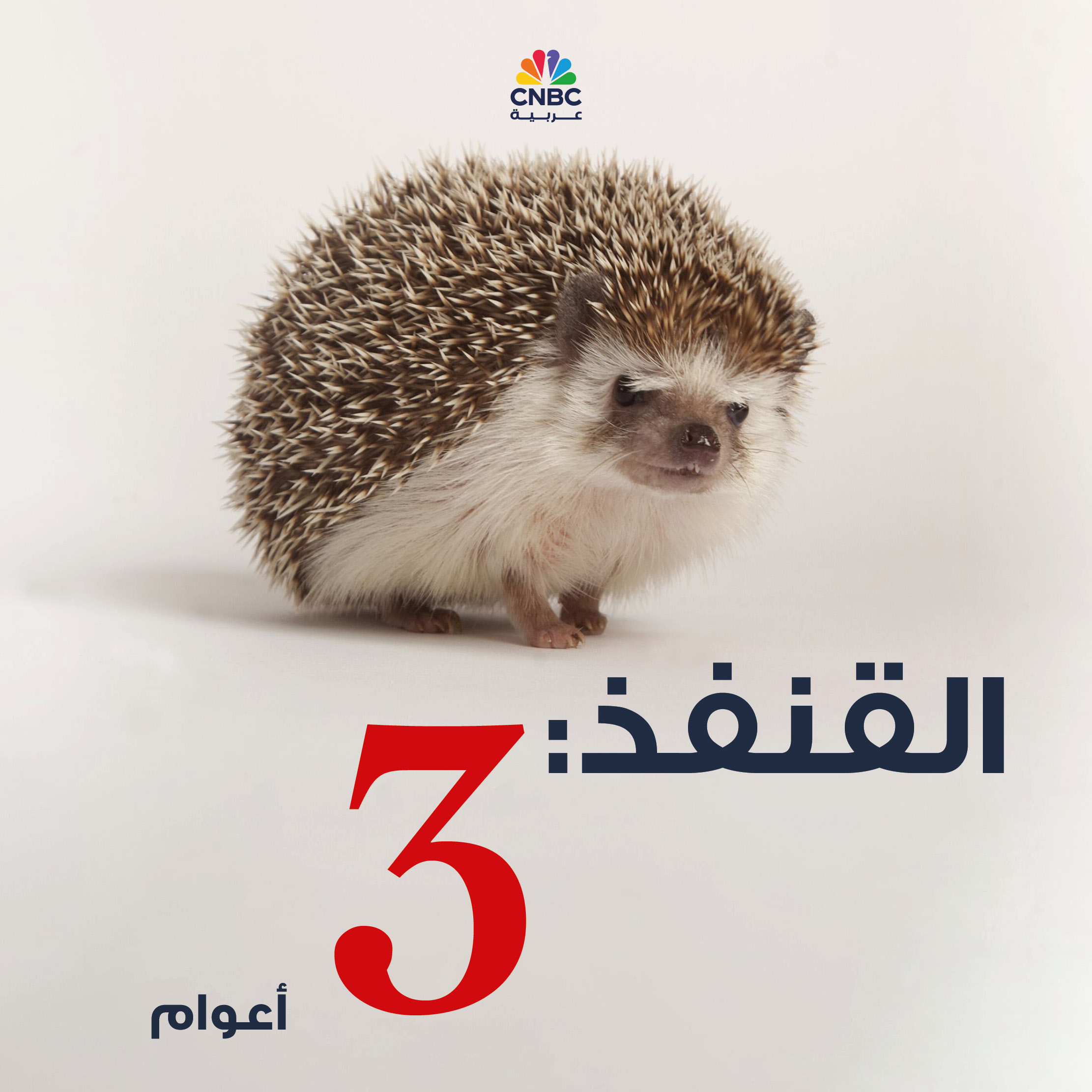 alt for 1acc8f4232.jpg 