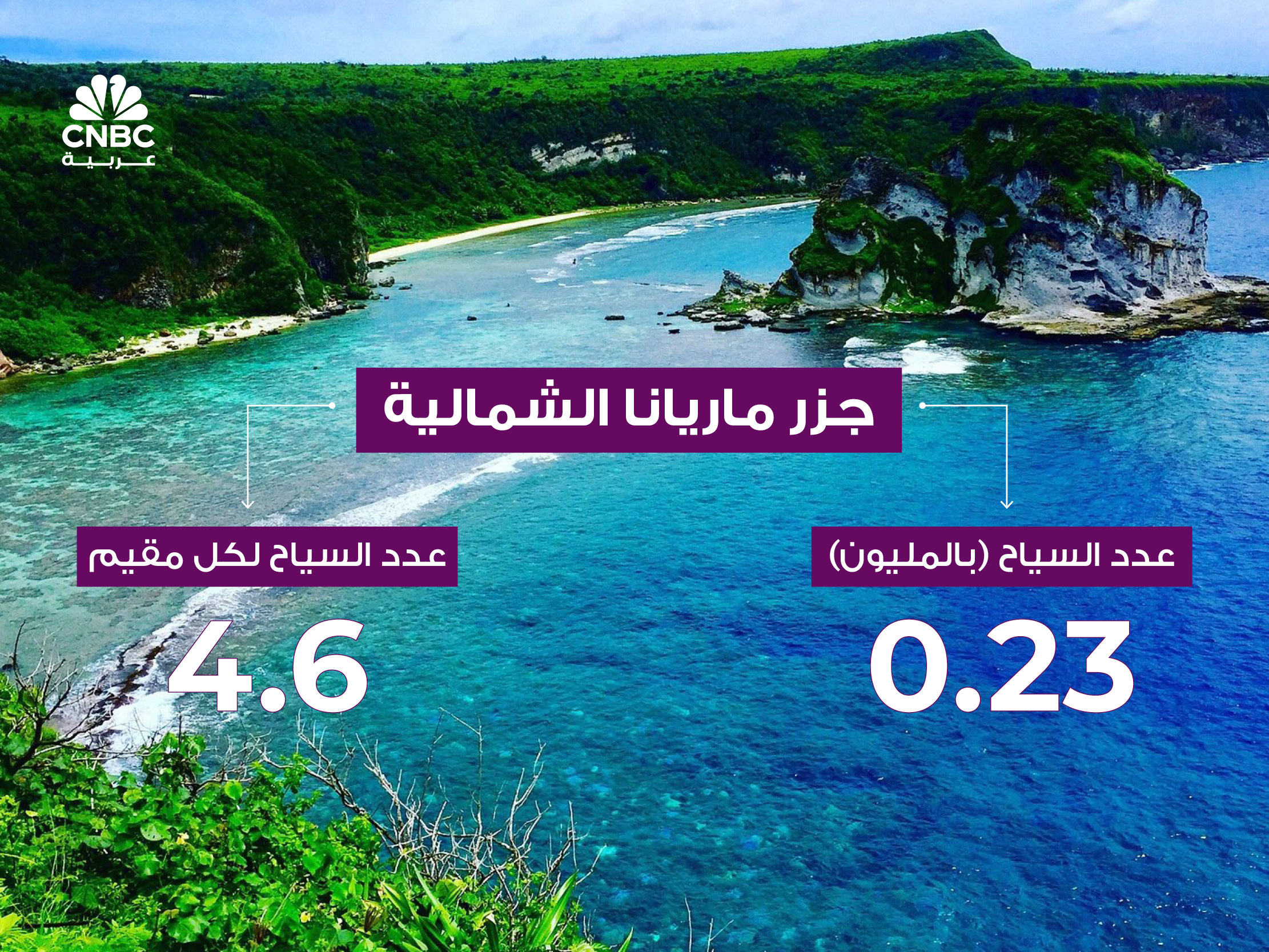 alt for 29742101b9a.jpg 