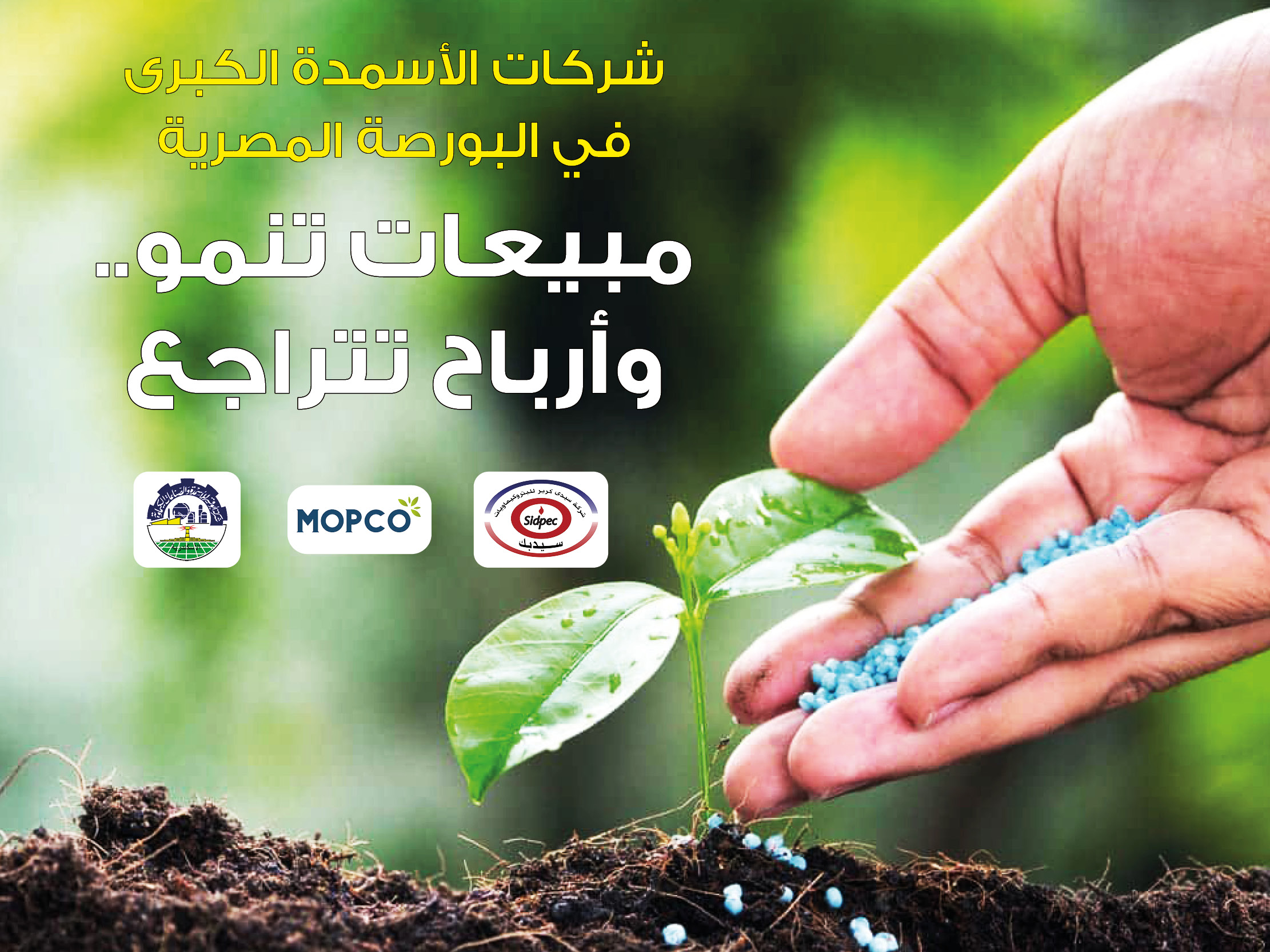 alt for 2ce4afec0c.jpg 