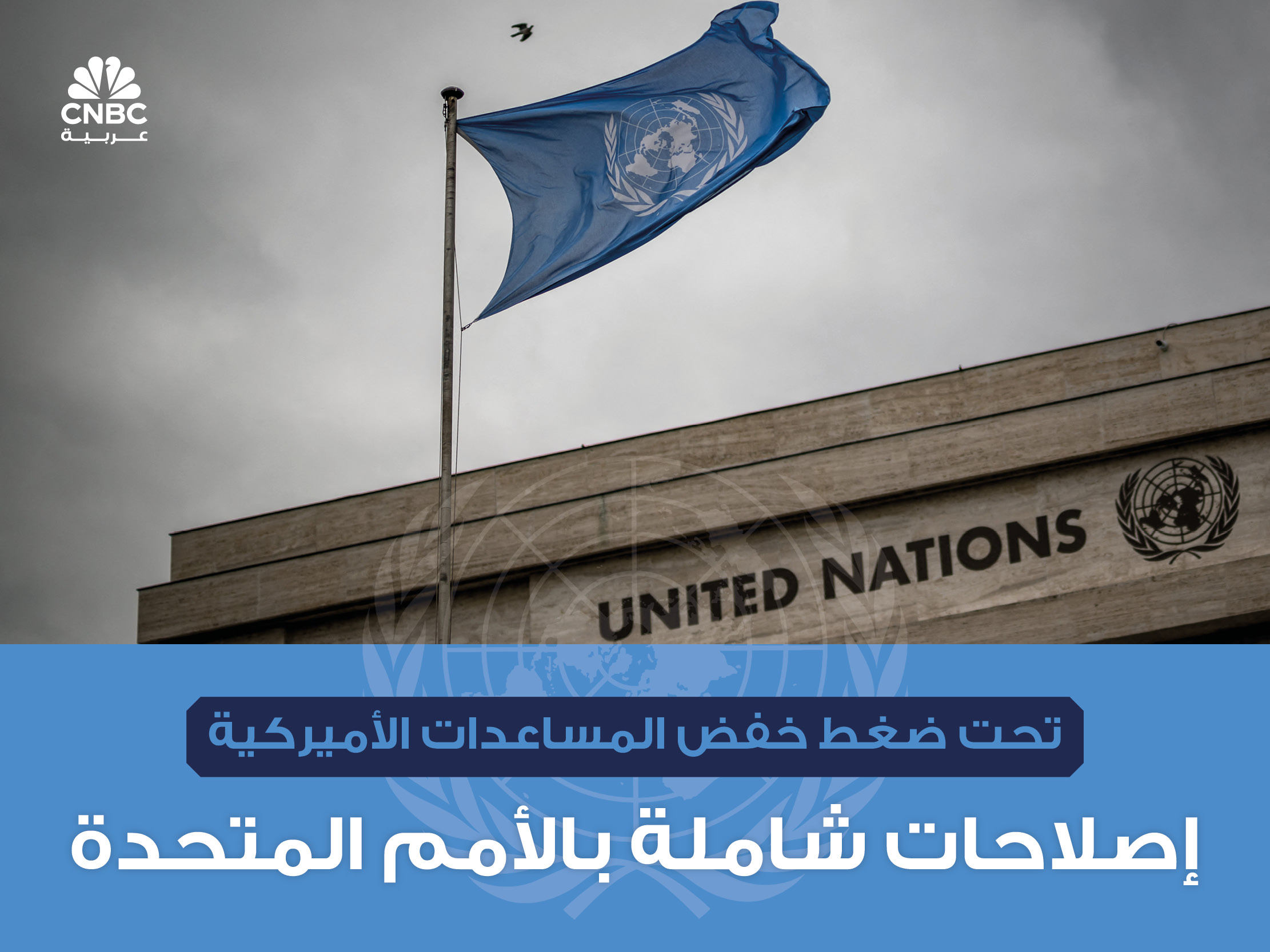 alt for 31038b2c40b.jpg 