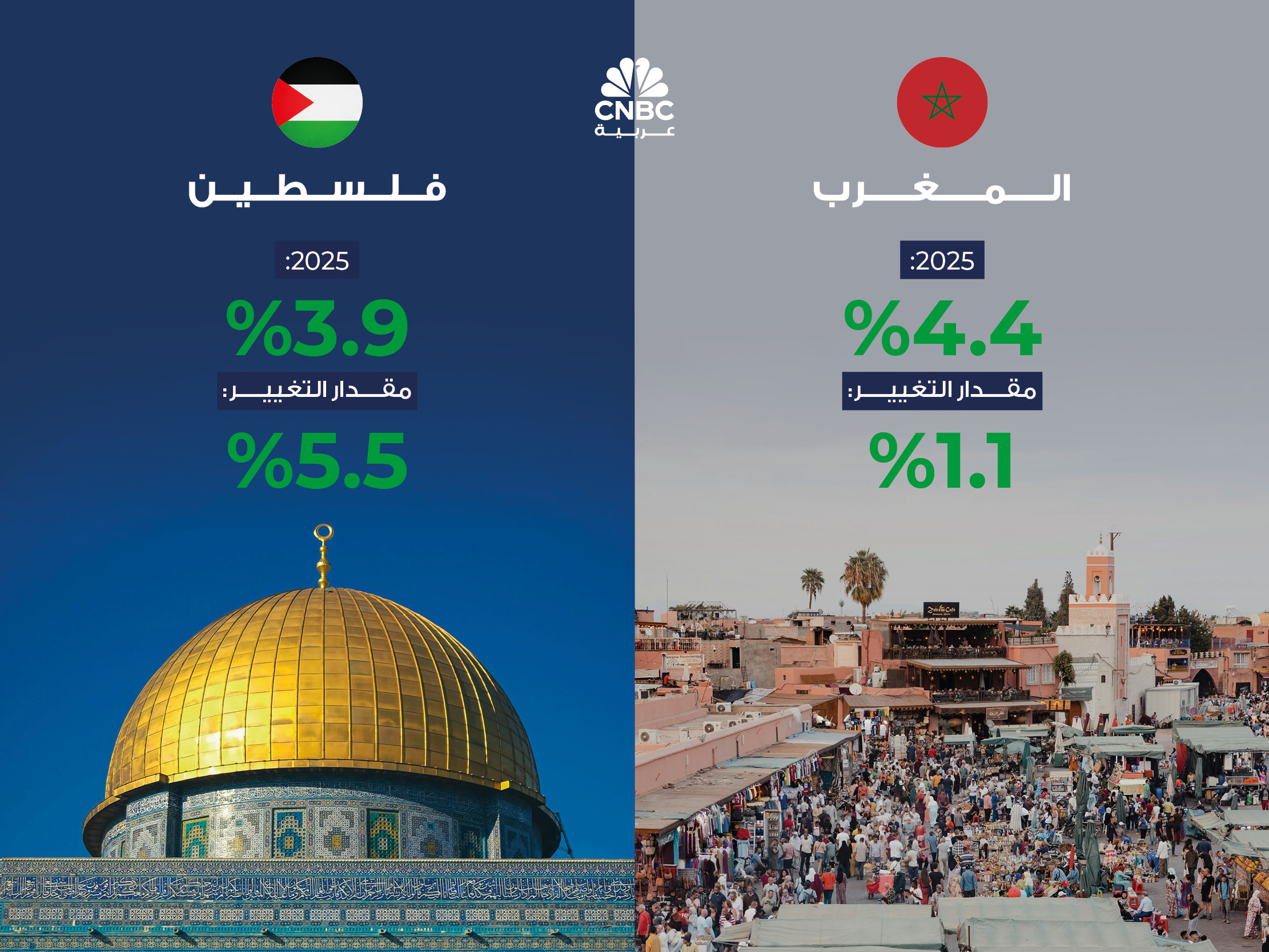 alt for 3215ea1bae.jpg 