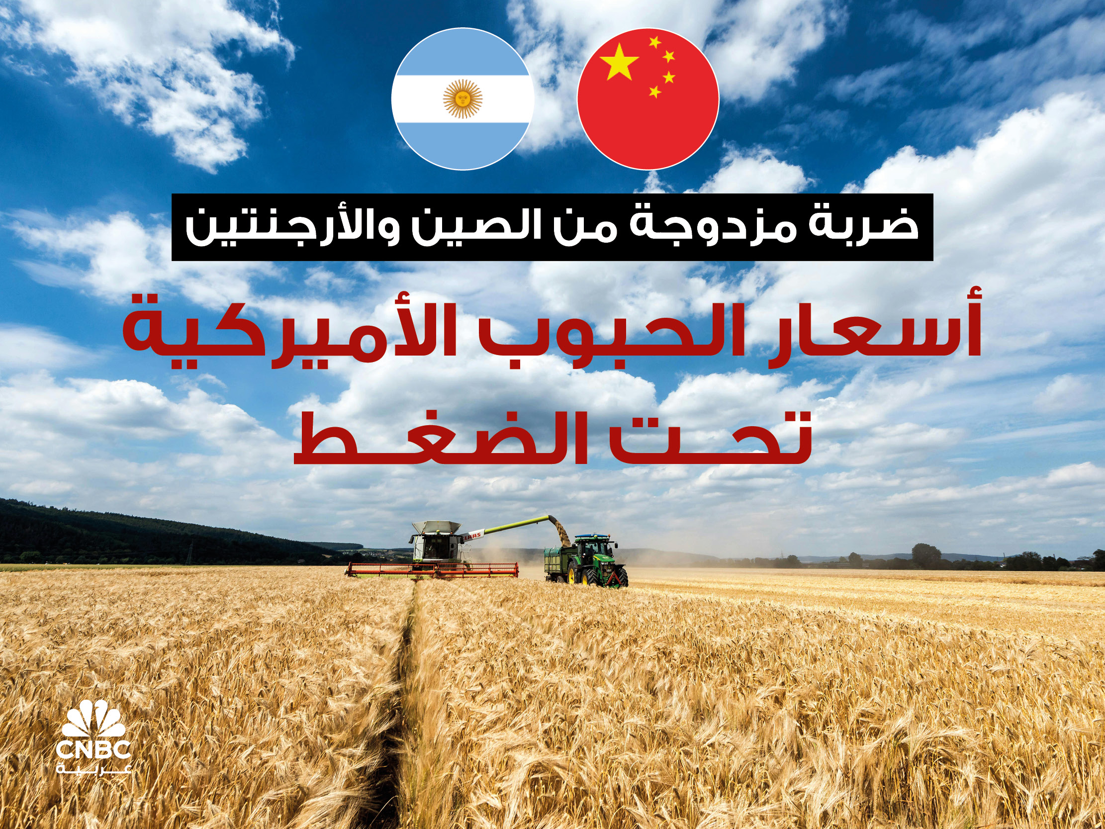 alt for 395e0d94f8.jpg 