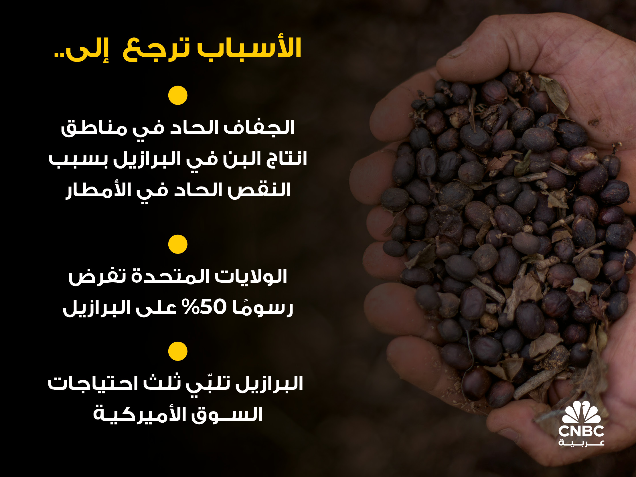 alt for 3aac47c53d.jpg 