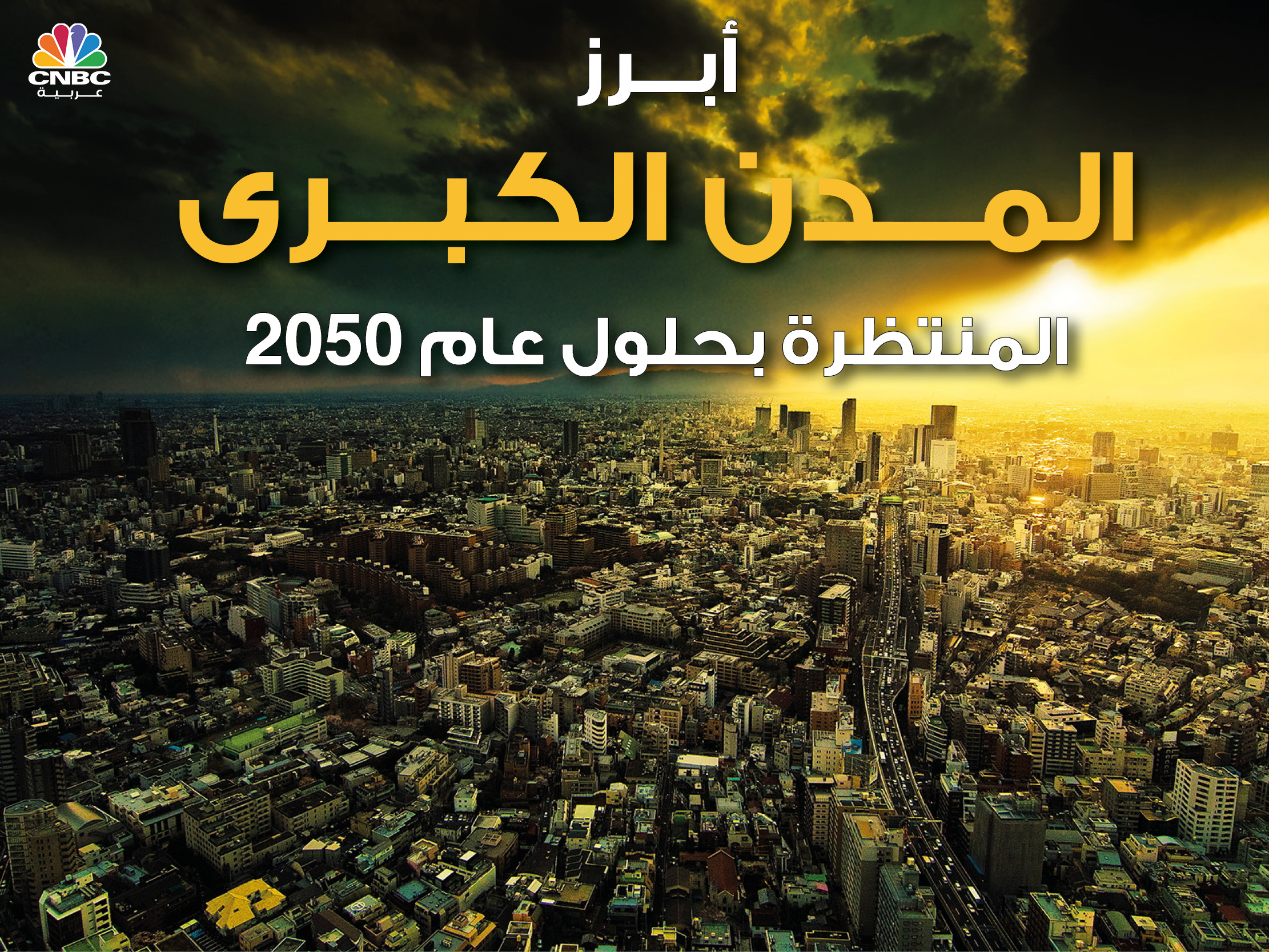 alt for 3e632a628f.jpg 