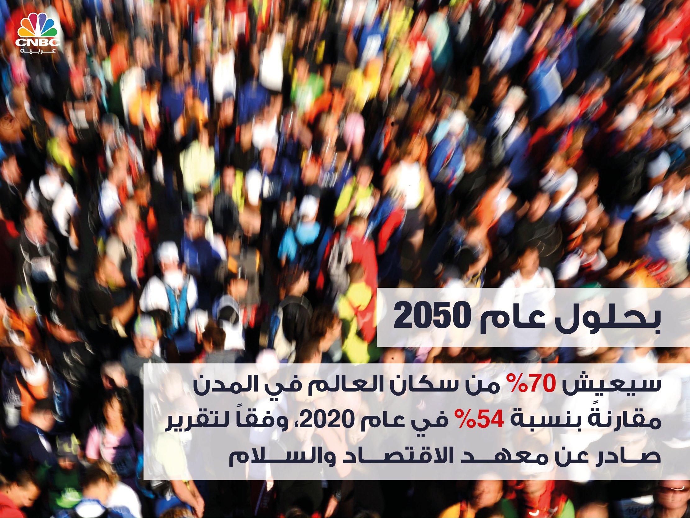 alt for 3f8537e922.jpg 