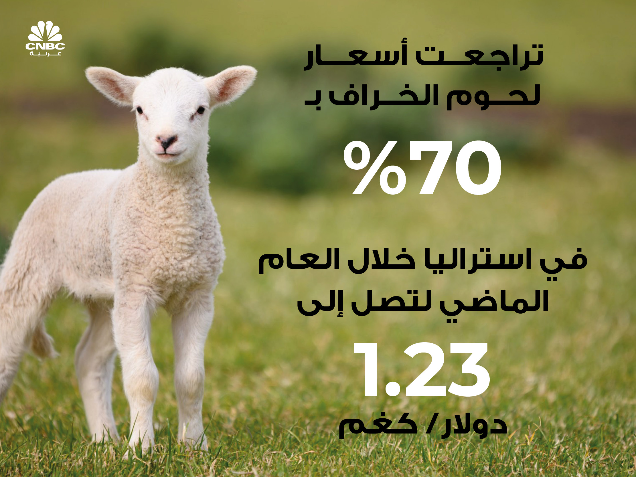 alt for 431a4f10594.jpg 