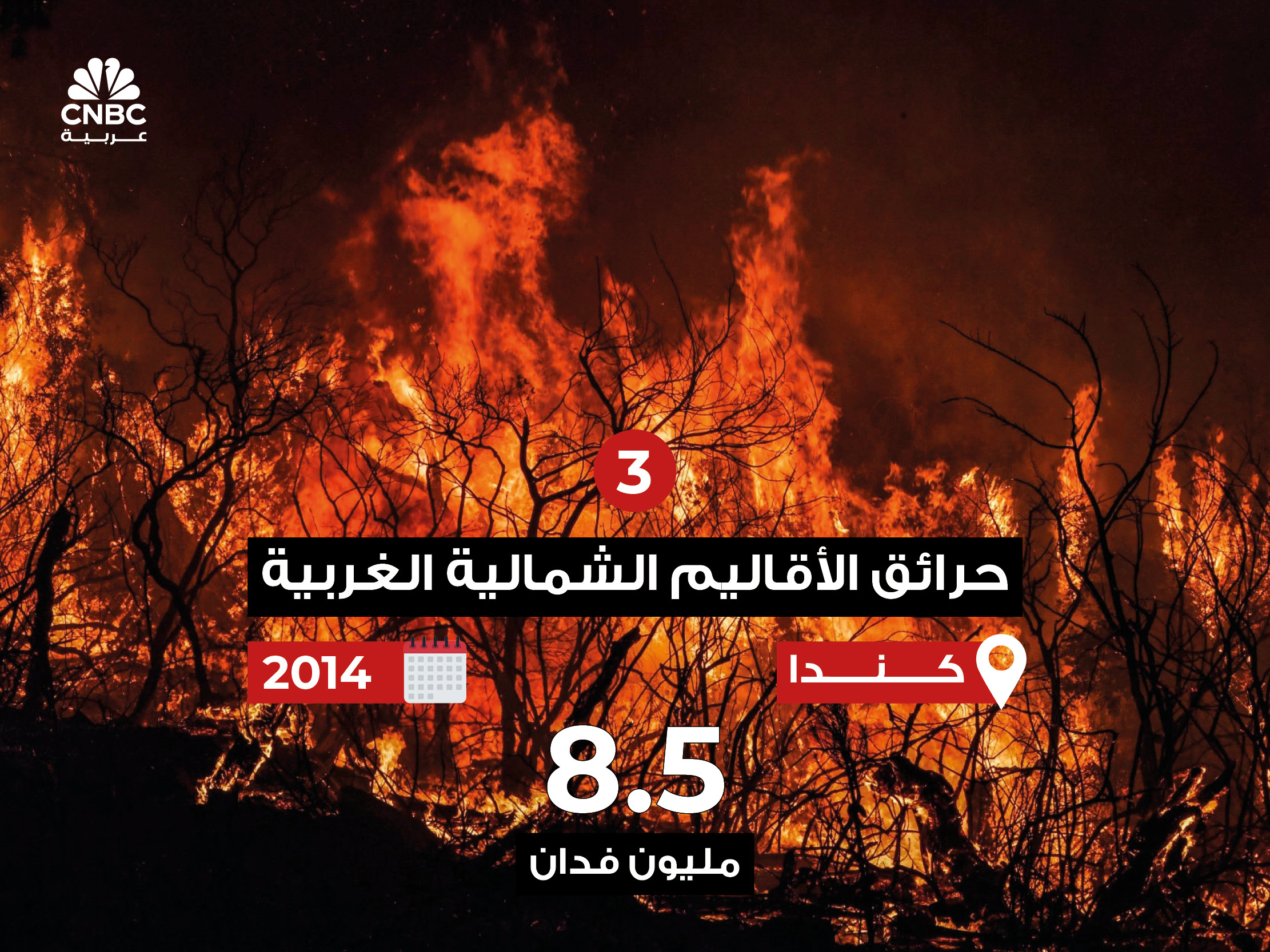 alt for 44554efc70.jpg 