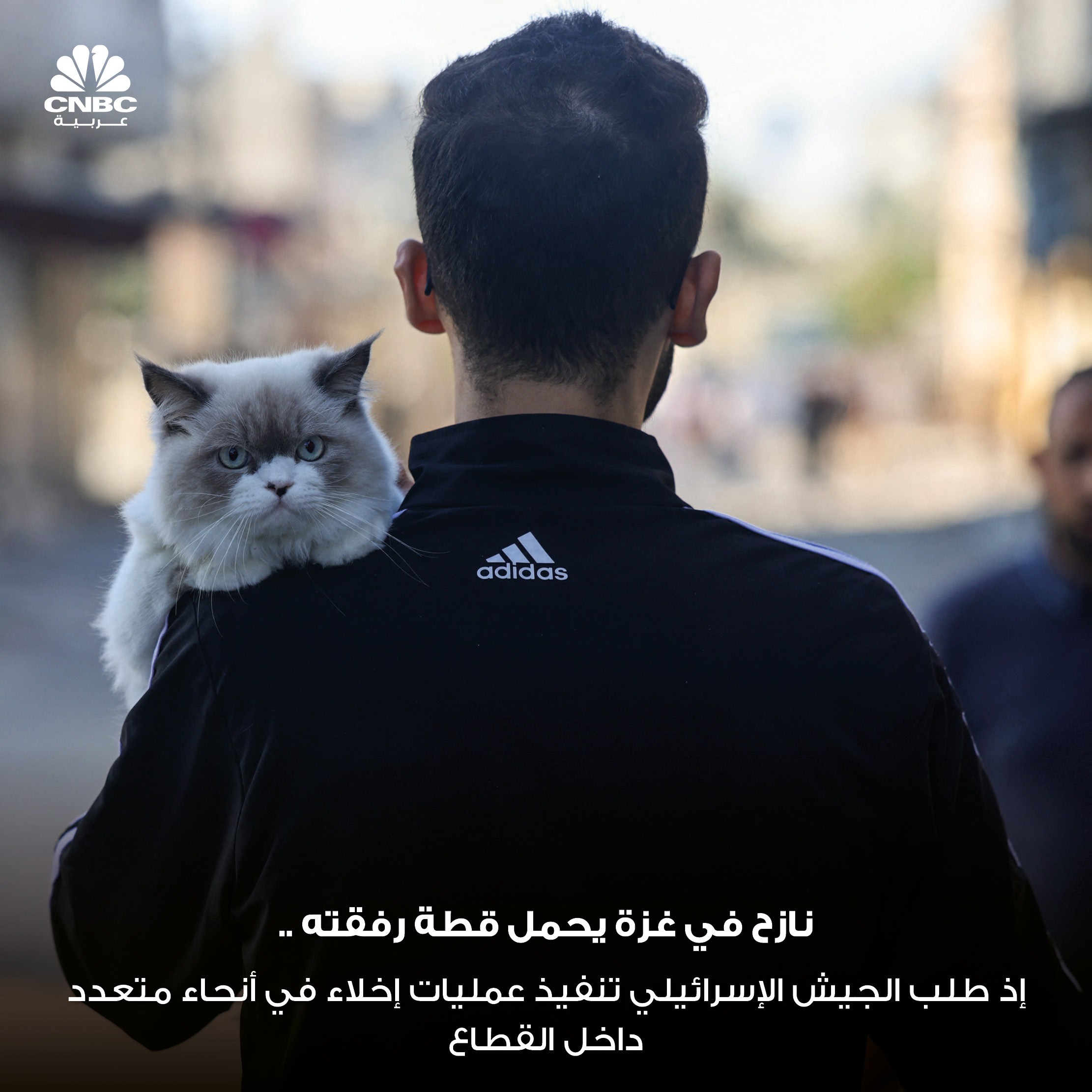 alt for 457eb107421.jpg 