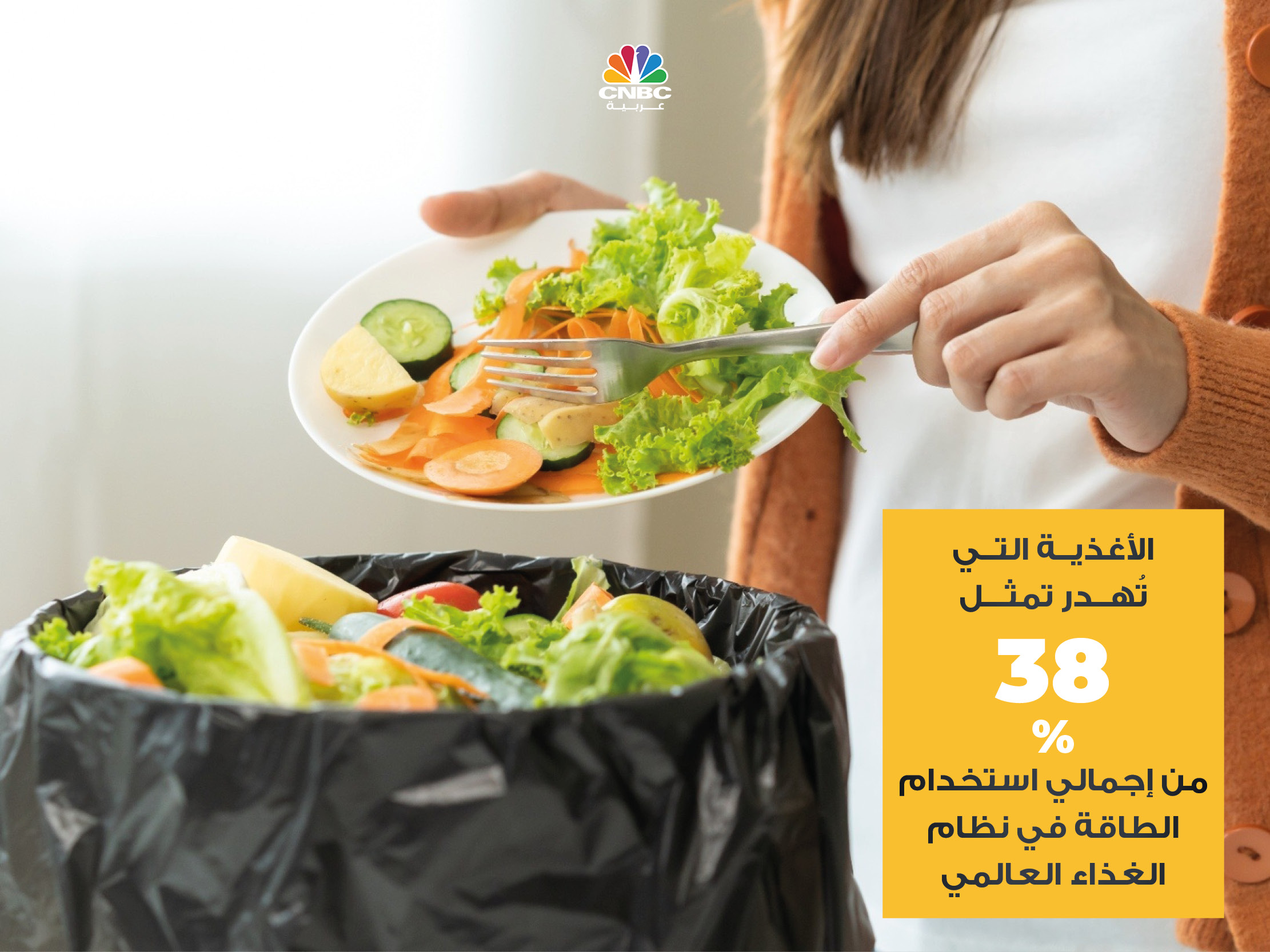 alt for 4a686e8116.jpg 