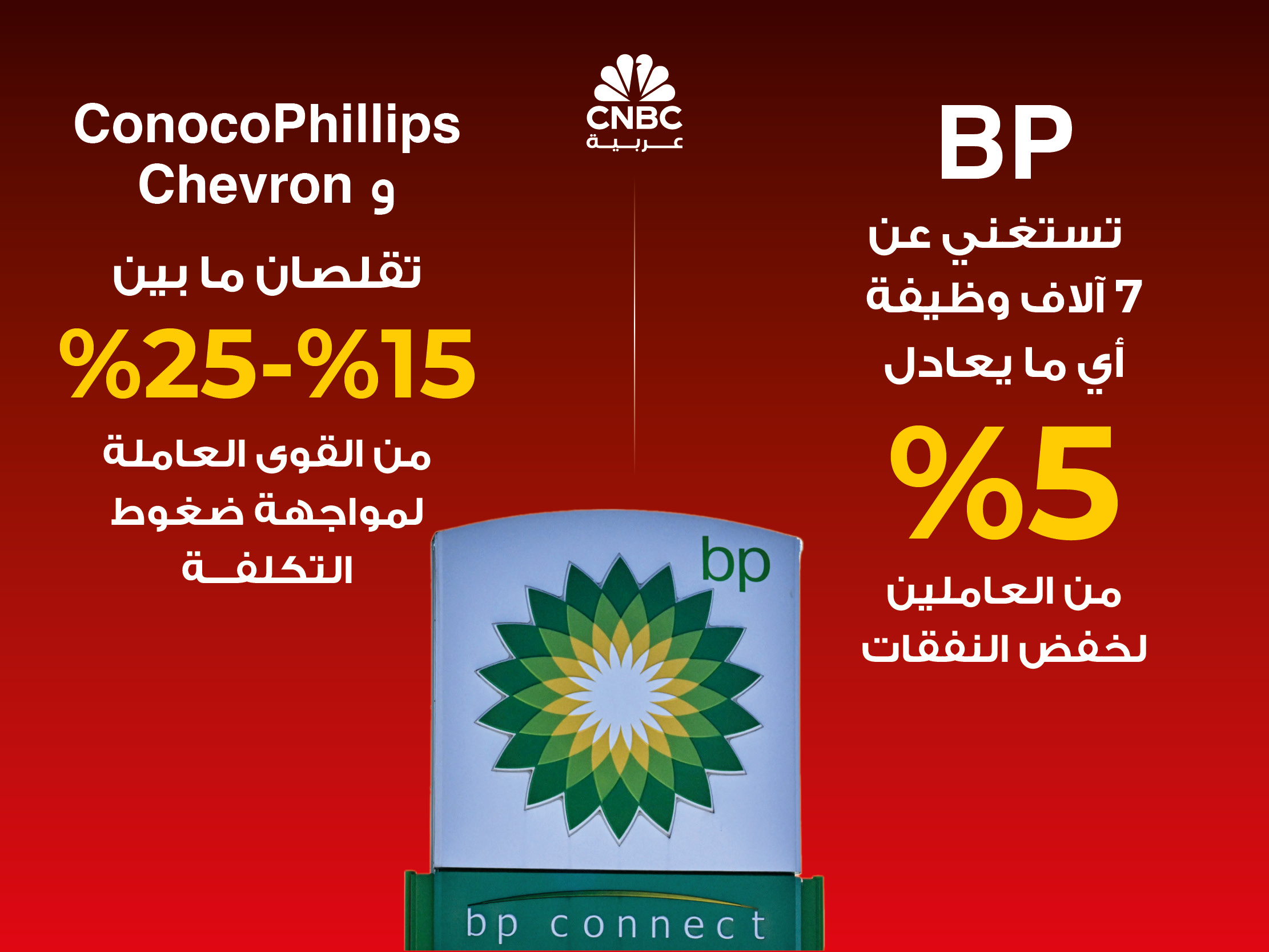 alt for 4ccdcf9b53.jpg 