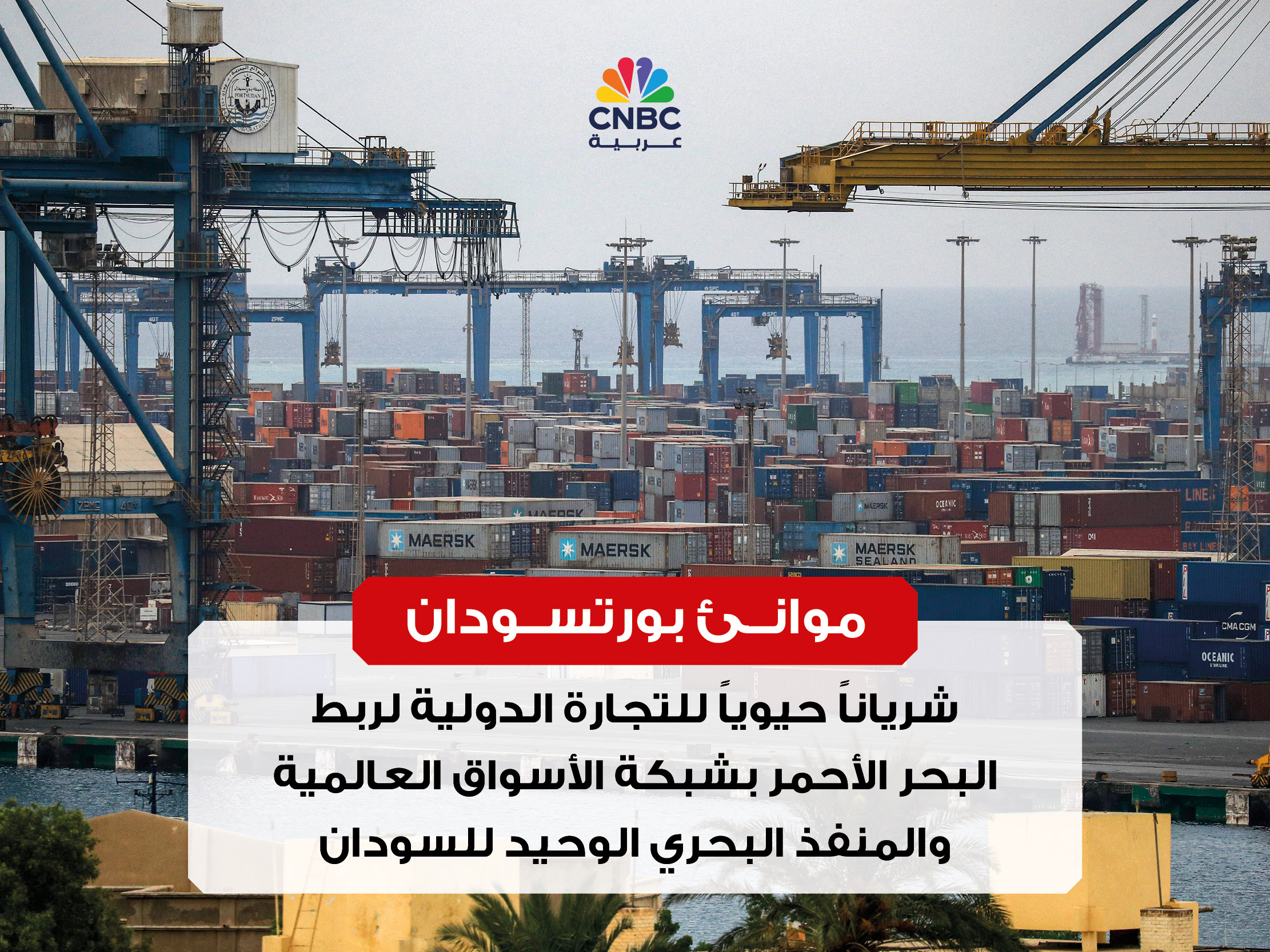 alt for 517b1bb2bf.jpg 