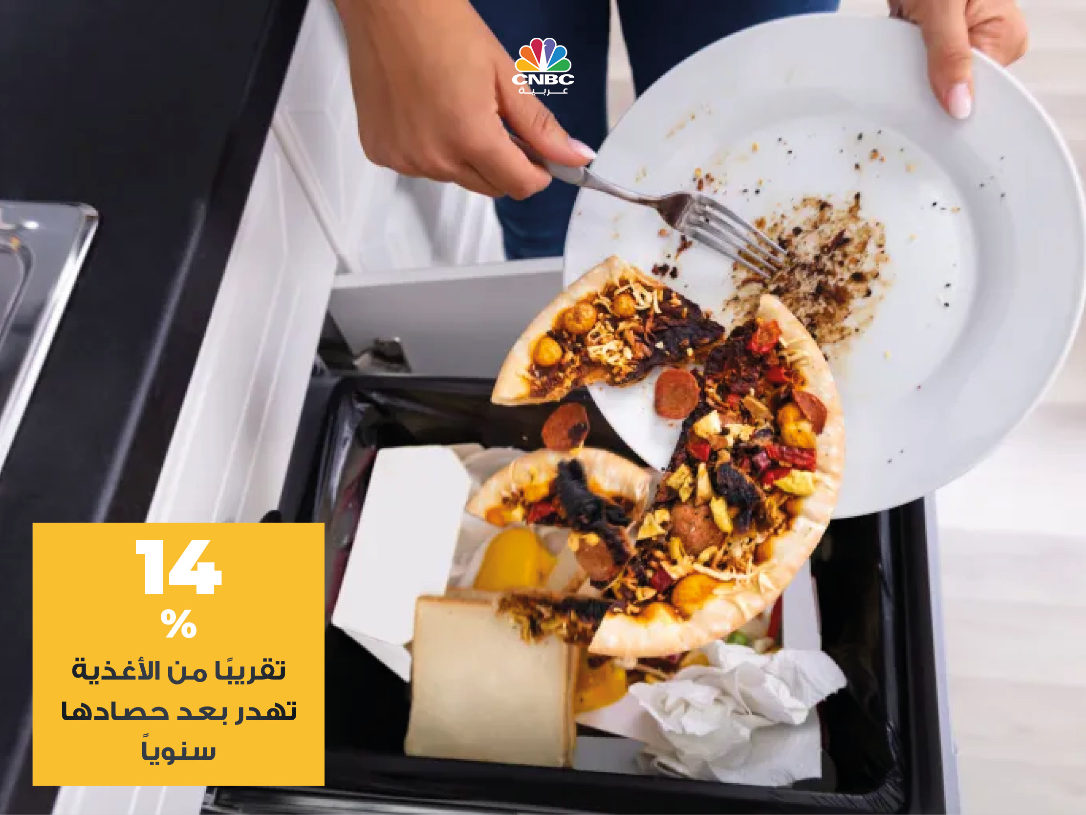 alt for 51c13d81109.jpg 