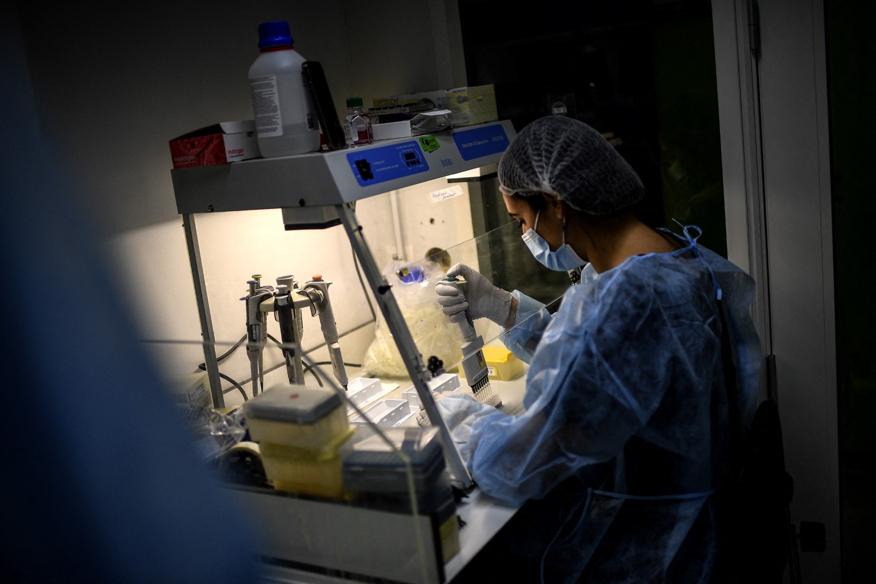For the first time, scientists use artificial intelligence to design synthetic viruses