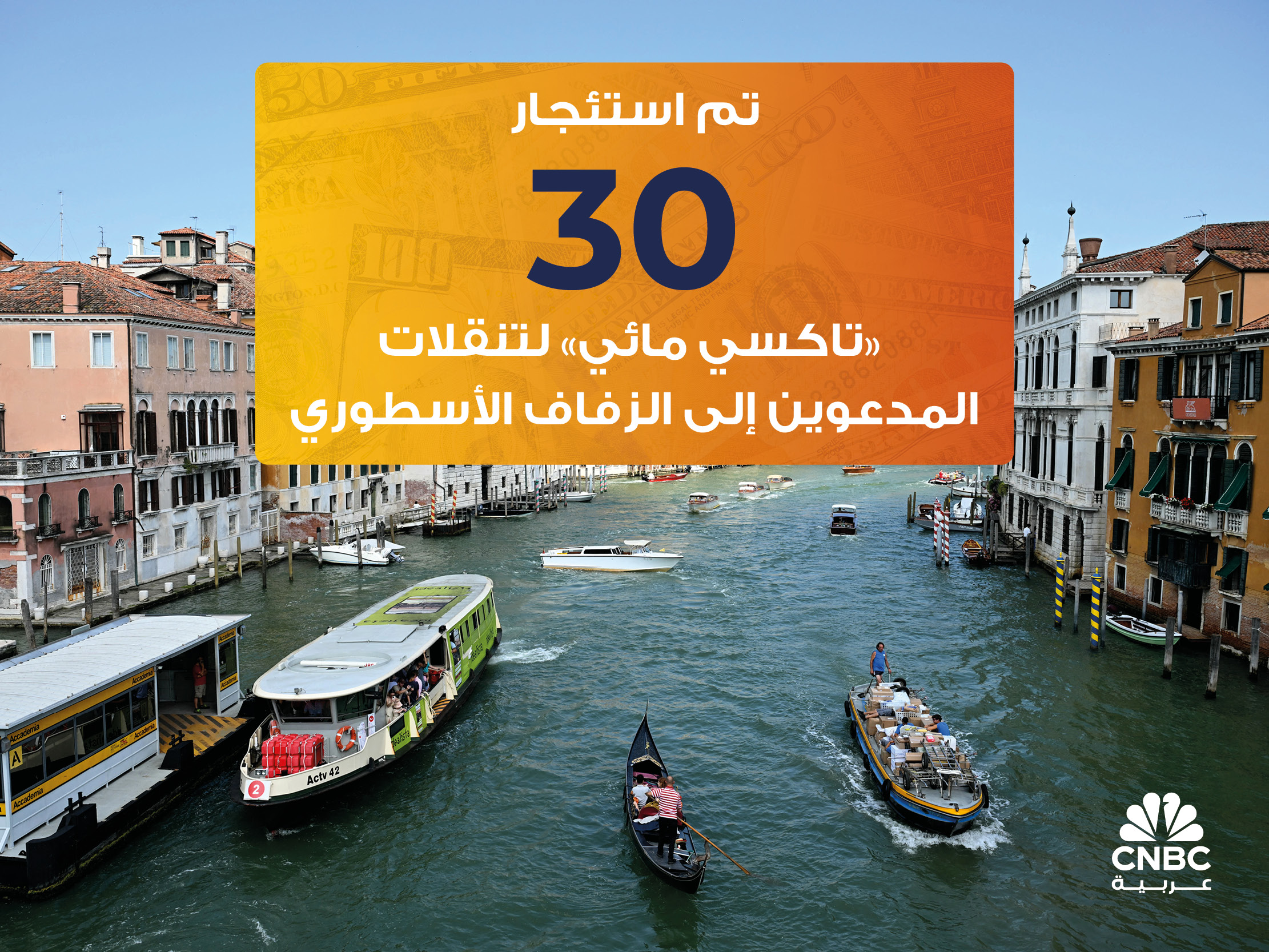 alt for 59810246248.jpg 