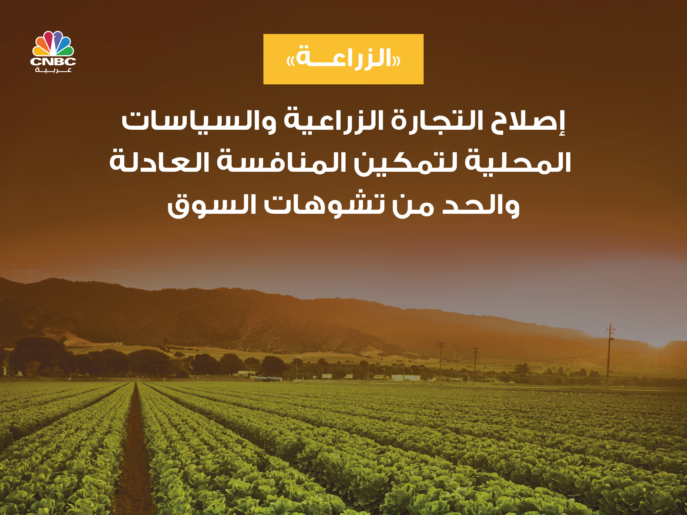 alt for 5d69041734.jpg 