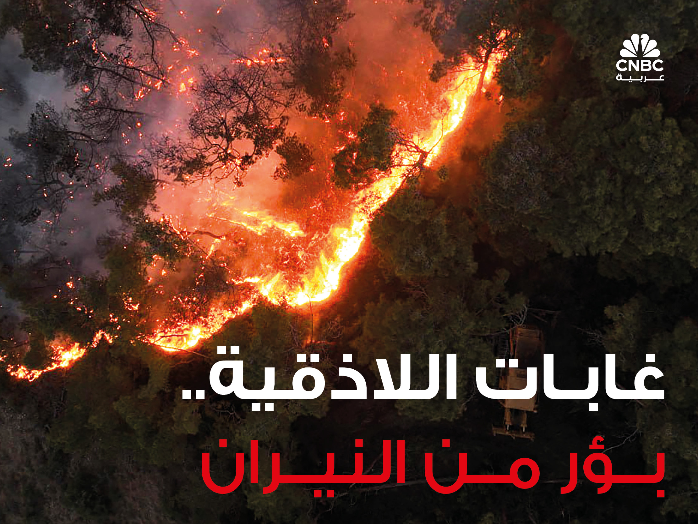 alt for 5e6f33f744.jpg 