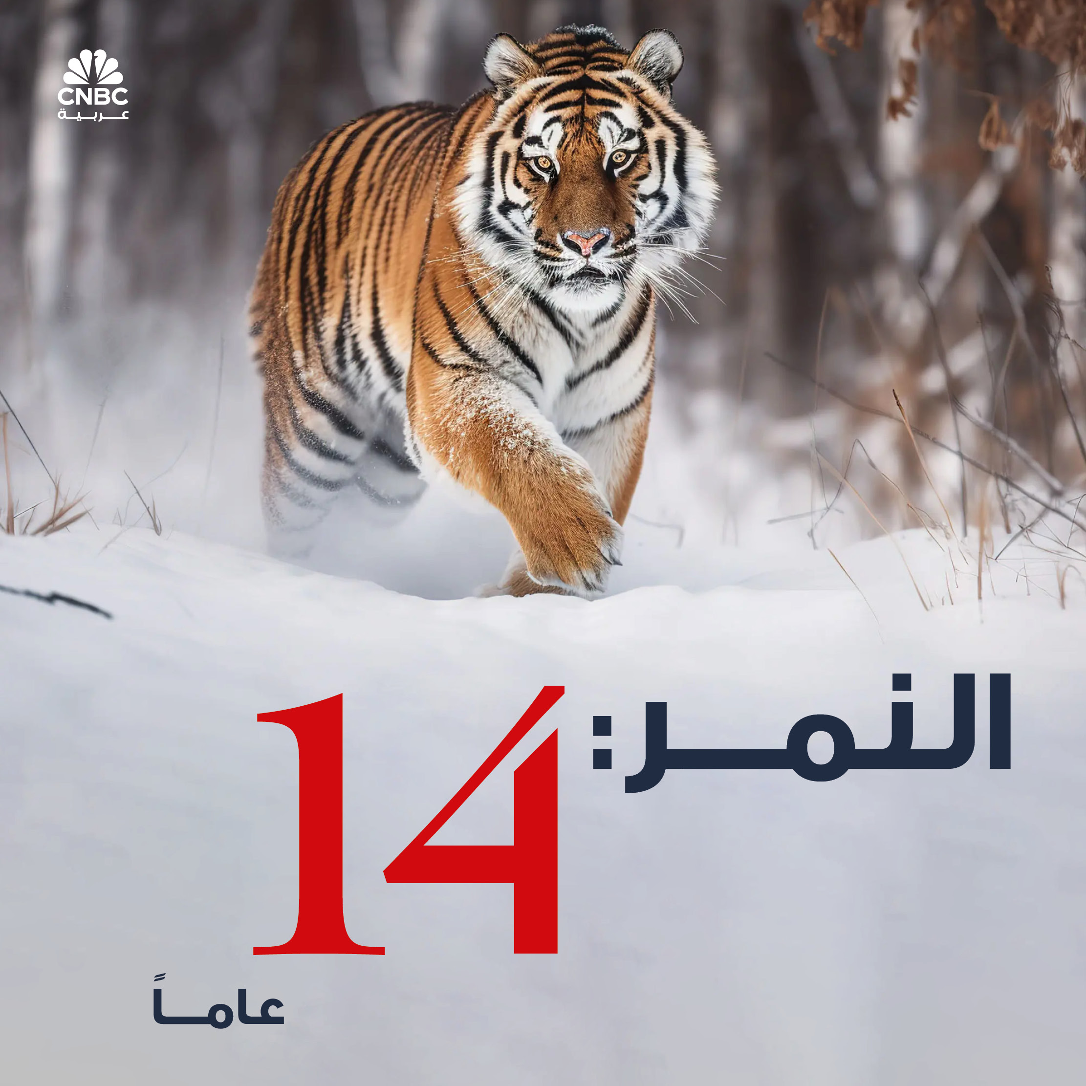 alt for 6308a97d2d.jpg 