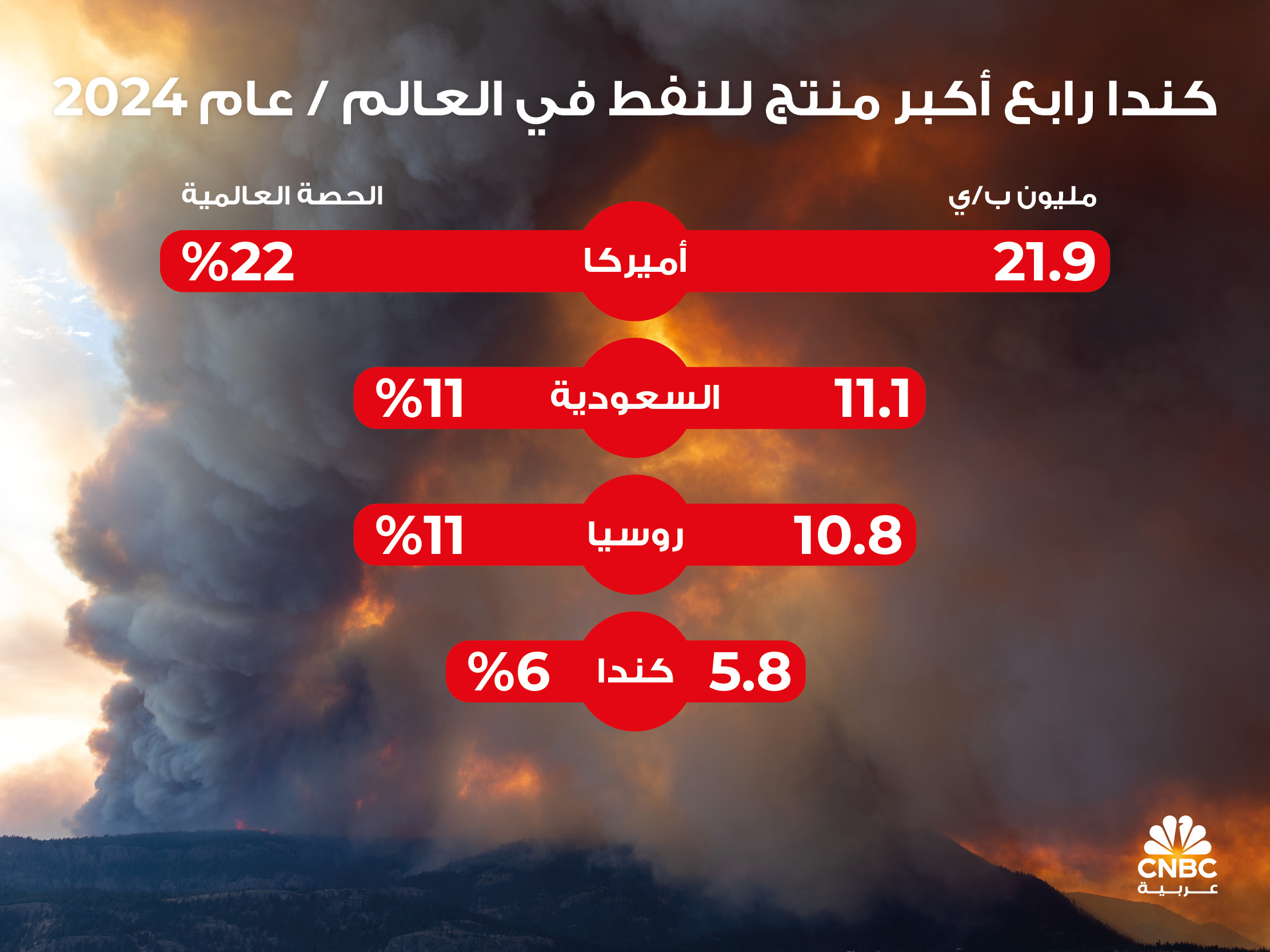 alt for 63ae1a412d.jpg 