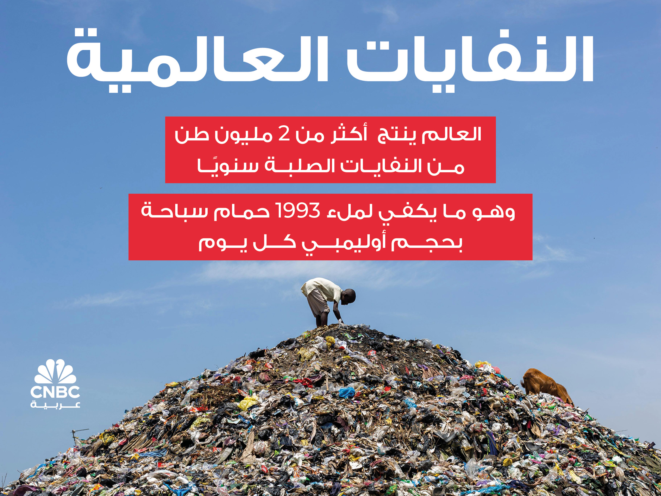 alt for 69743d8b02.jpg 