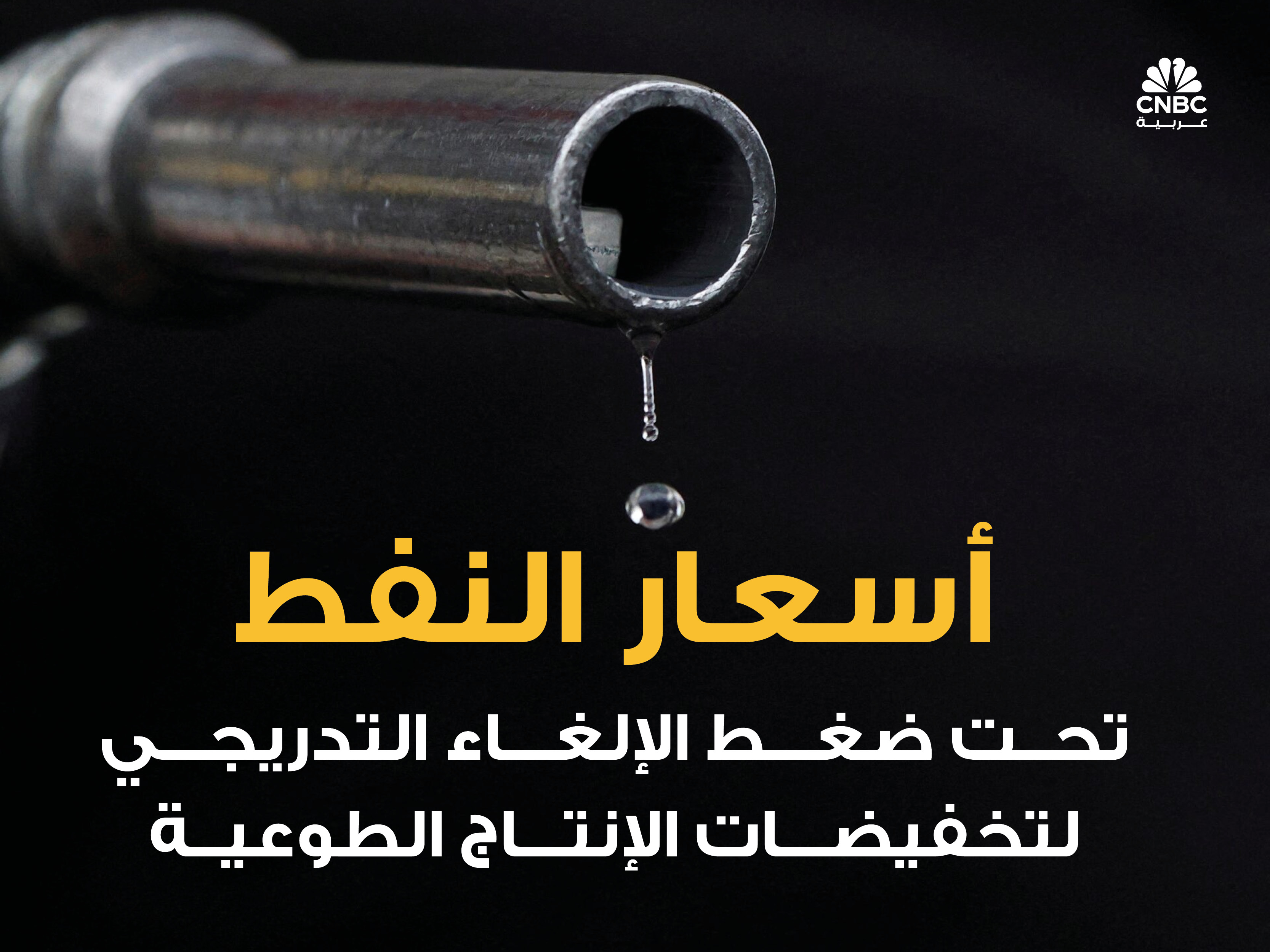 alt for 69d4c496d6.jpg 