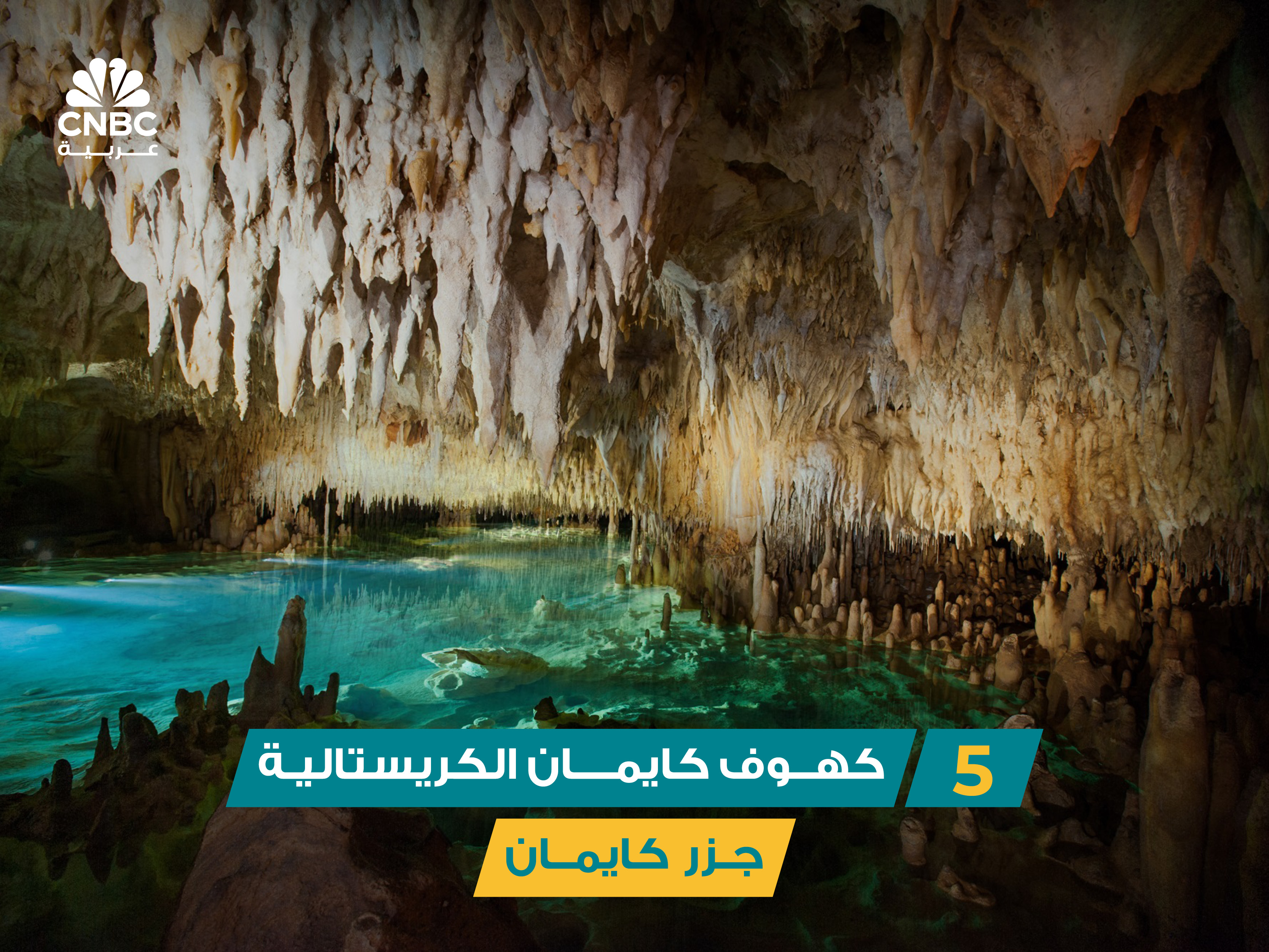 alt for 6a0bee4b83.jpg 