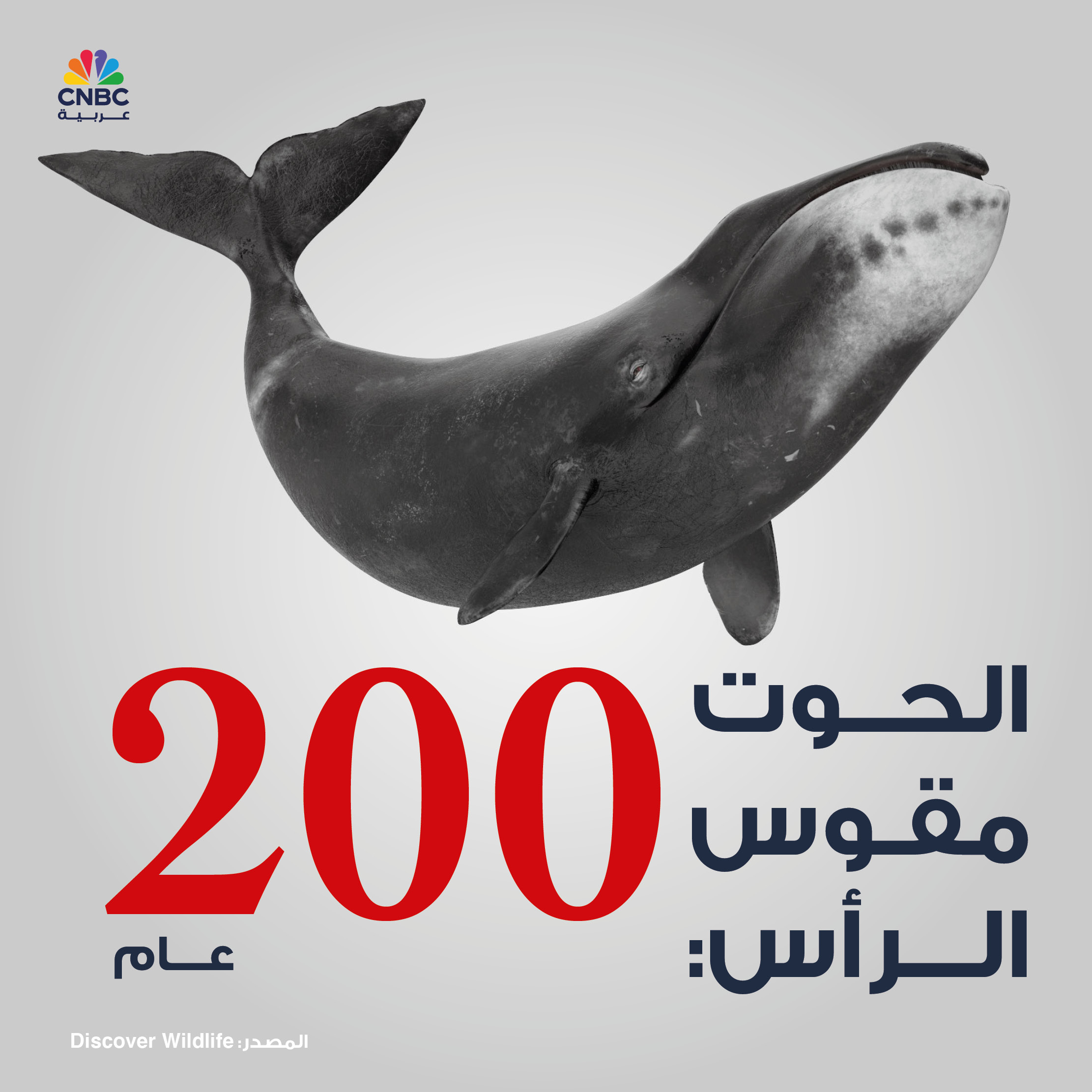 alt for 6b8d488e55.jpg 