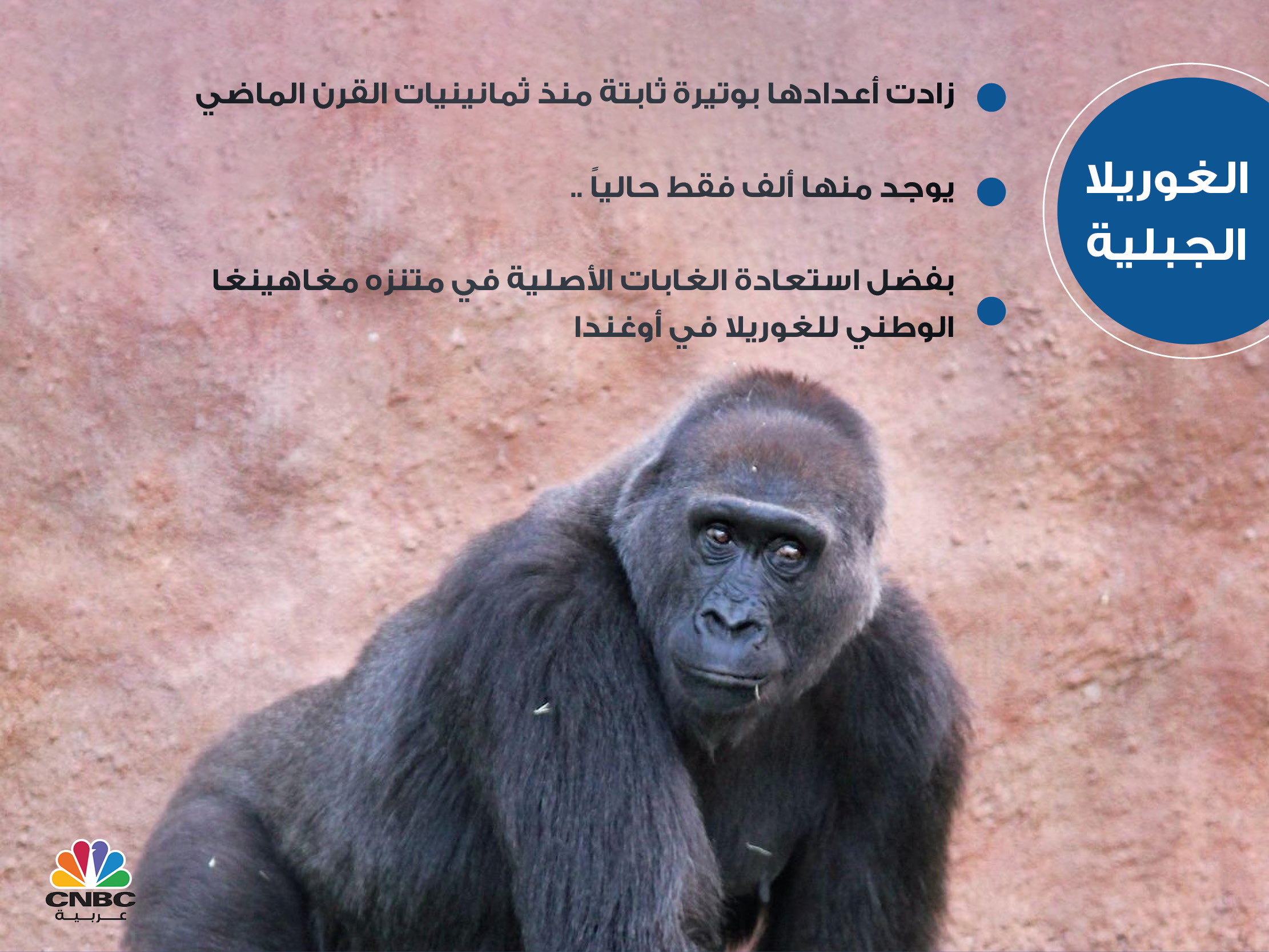 alt for 6db9ebc65b.jpg 