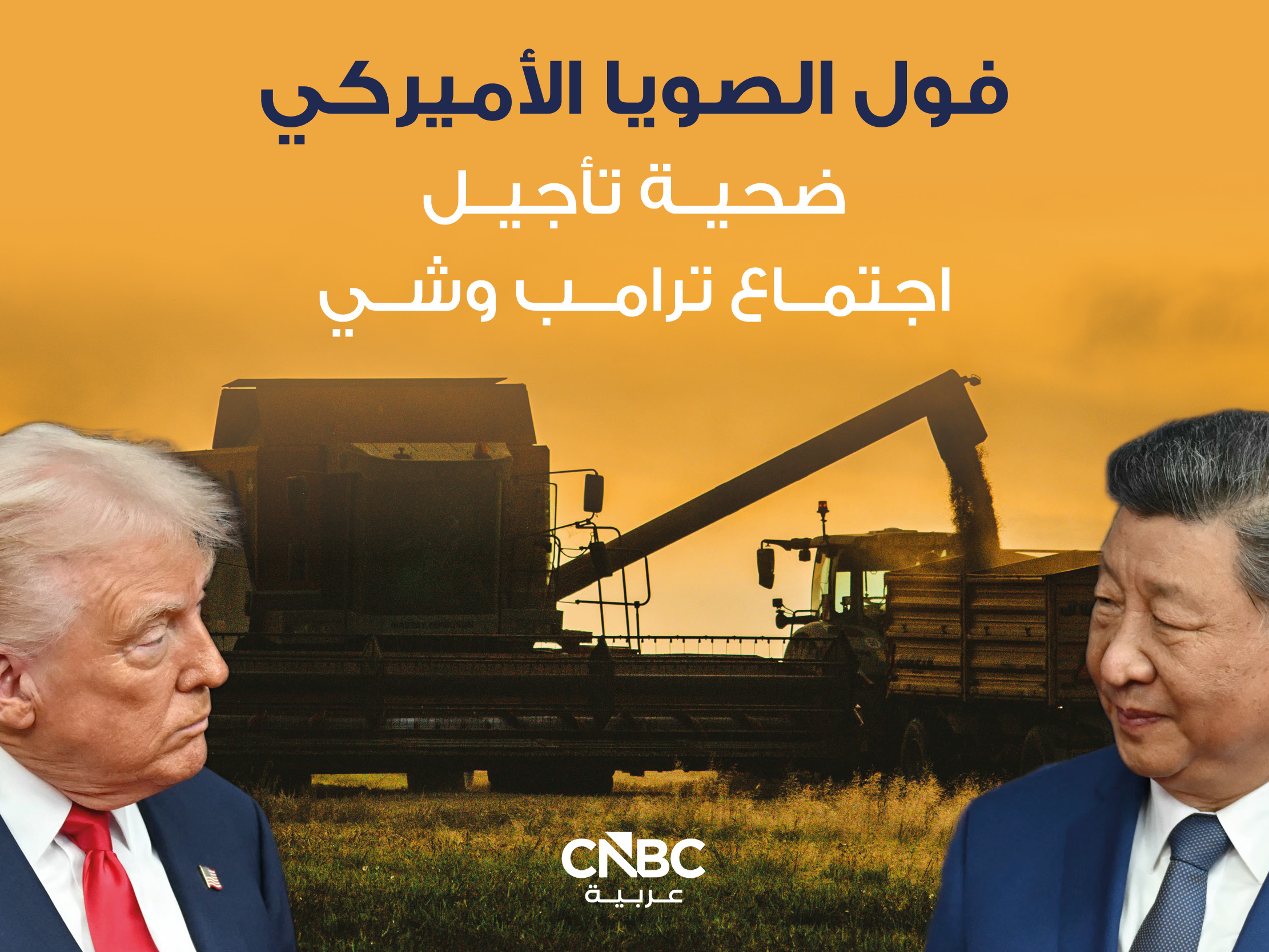 alt for 71a9fab5d5.jpg 