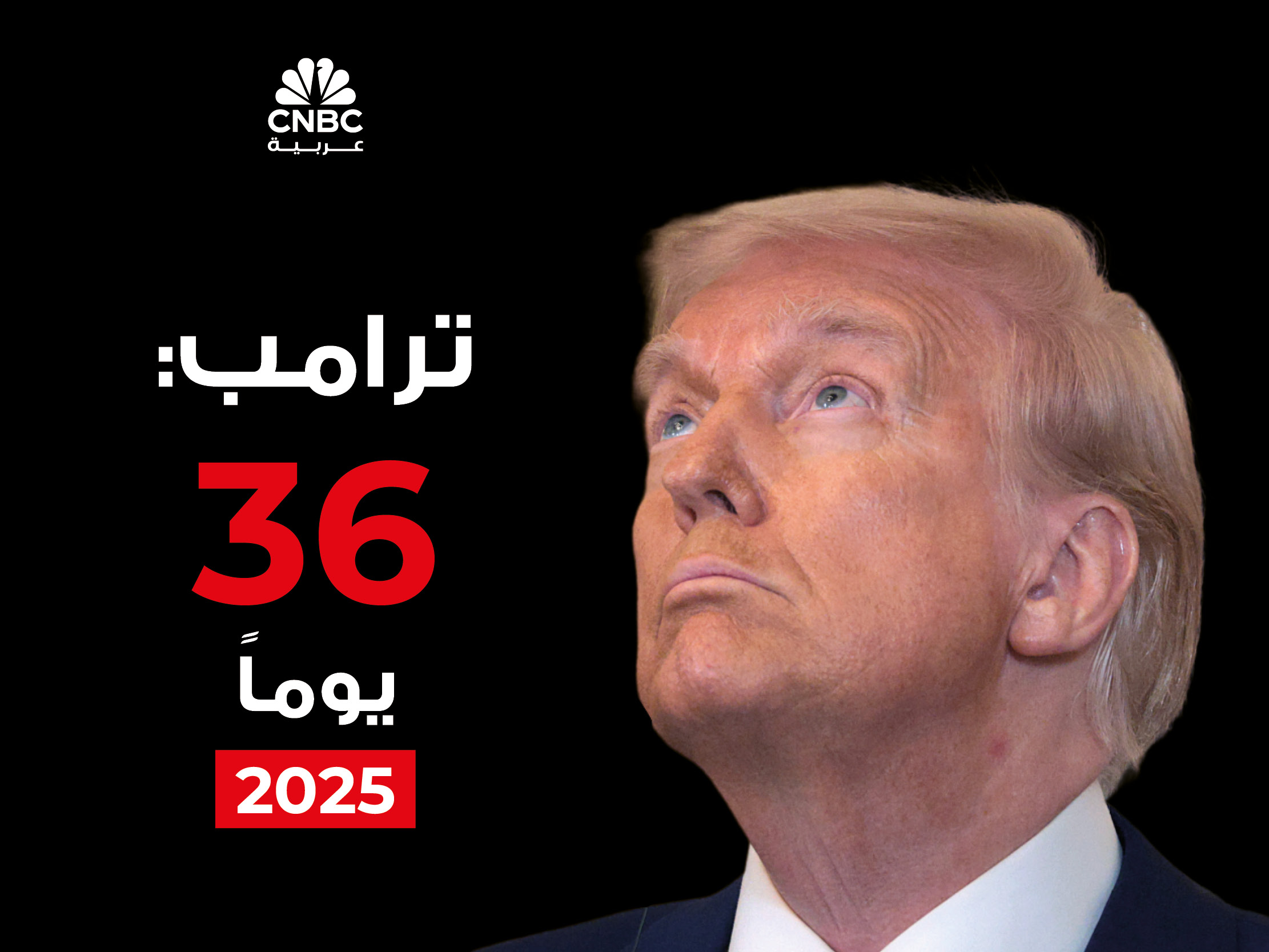 alt for 746a328adc.jpg 