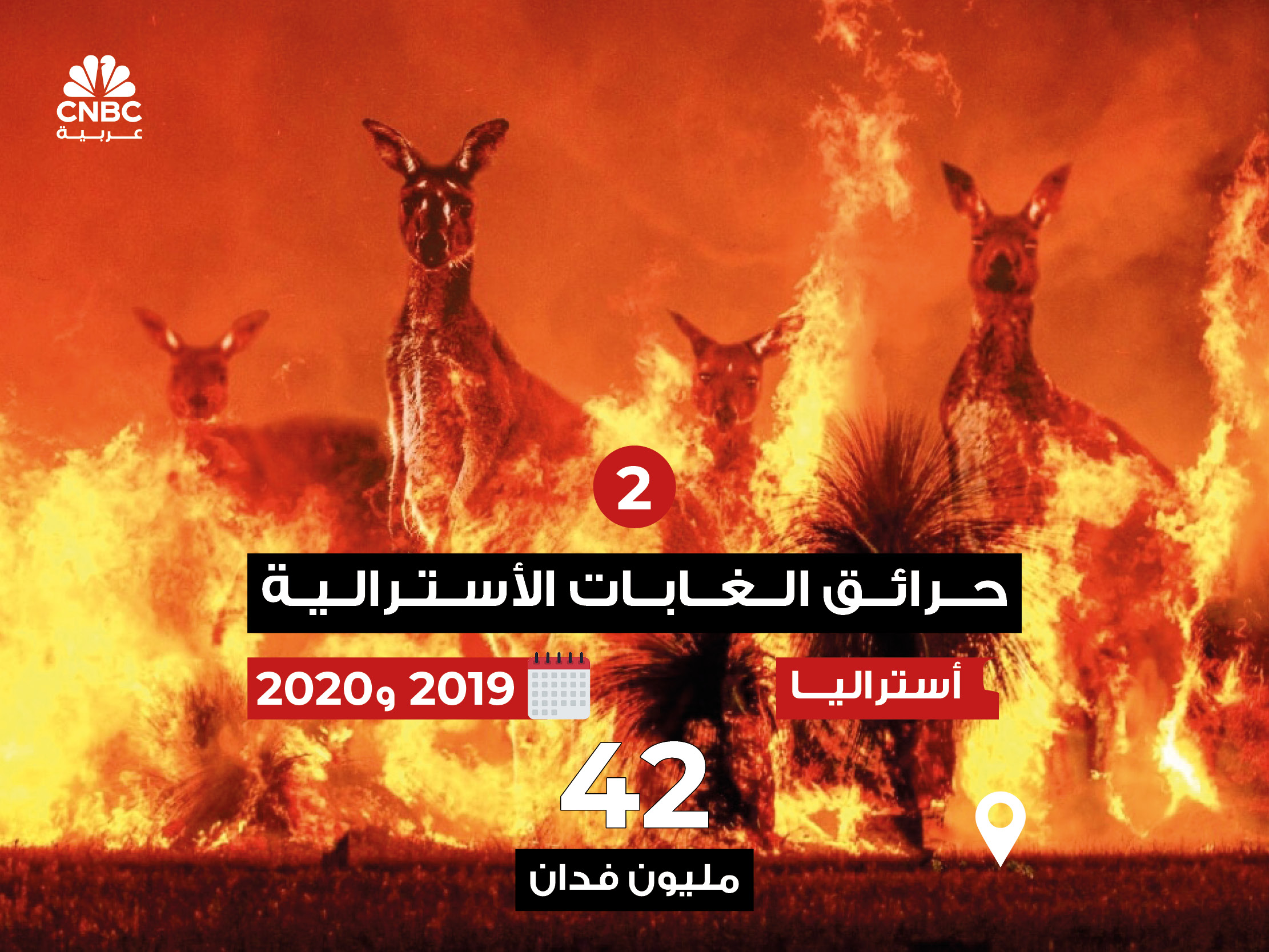 alt for 7668c2101026.jpg 