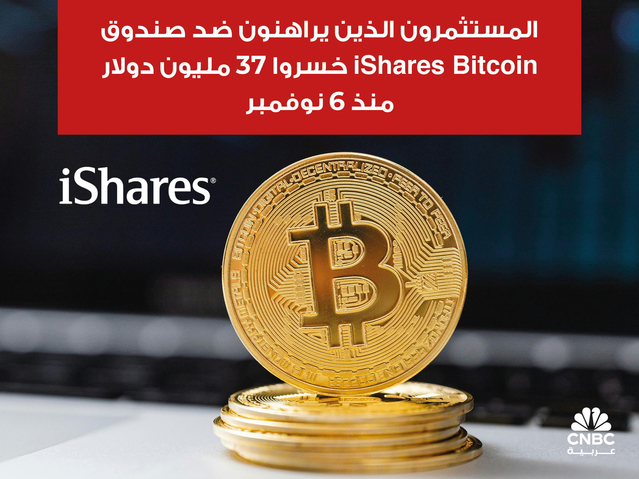 alt for 76b4b55bbe.jpg 