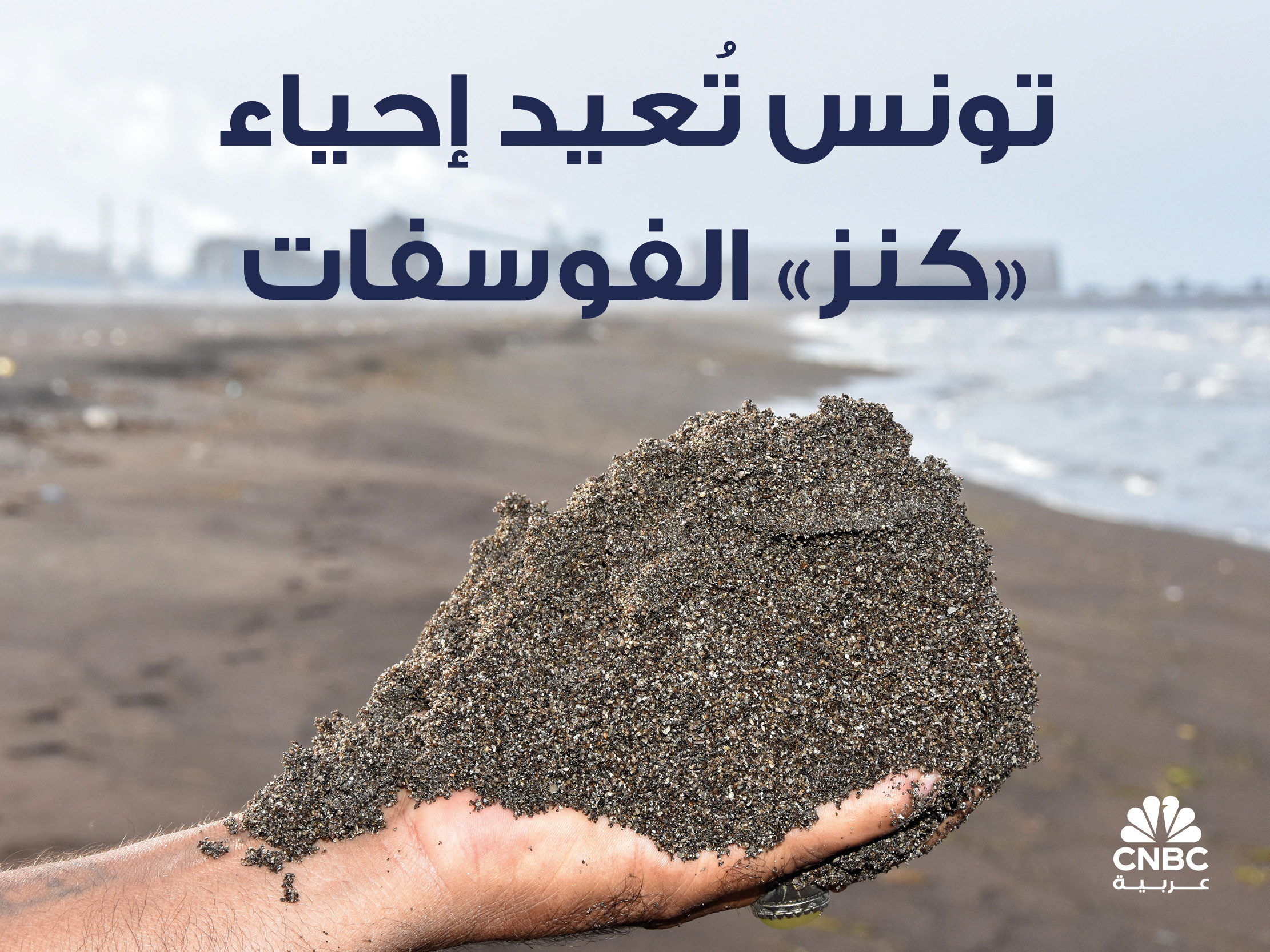 alt for 7b2447e193.jpg 