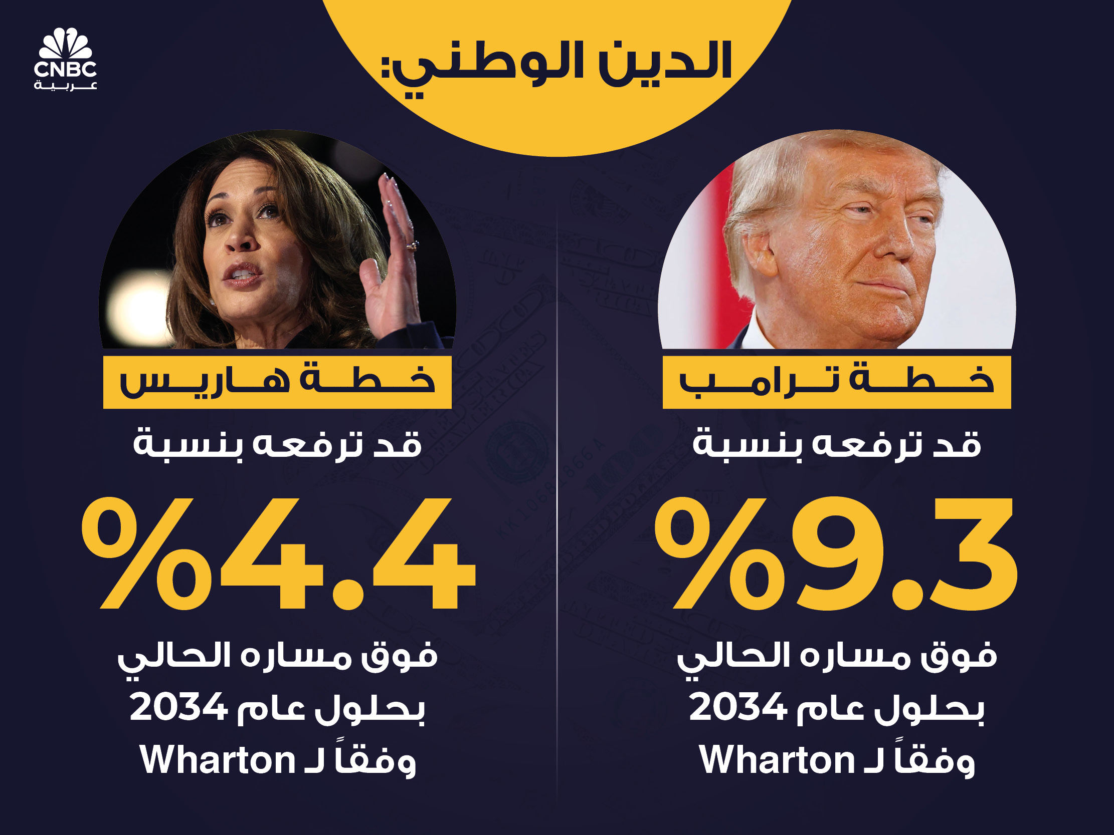 alt for 8364b5678f.jpg 