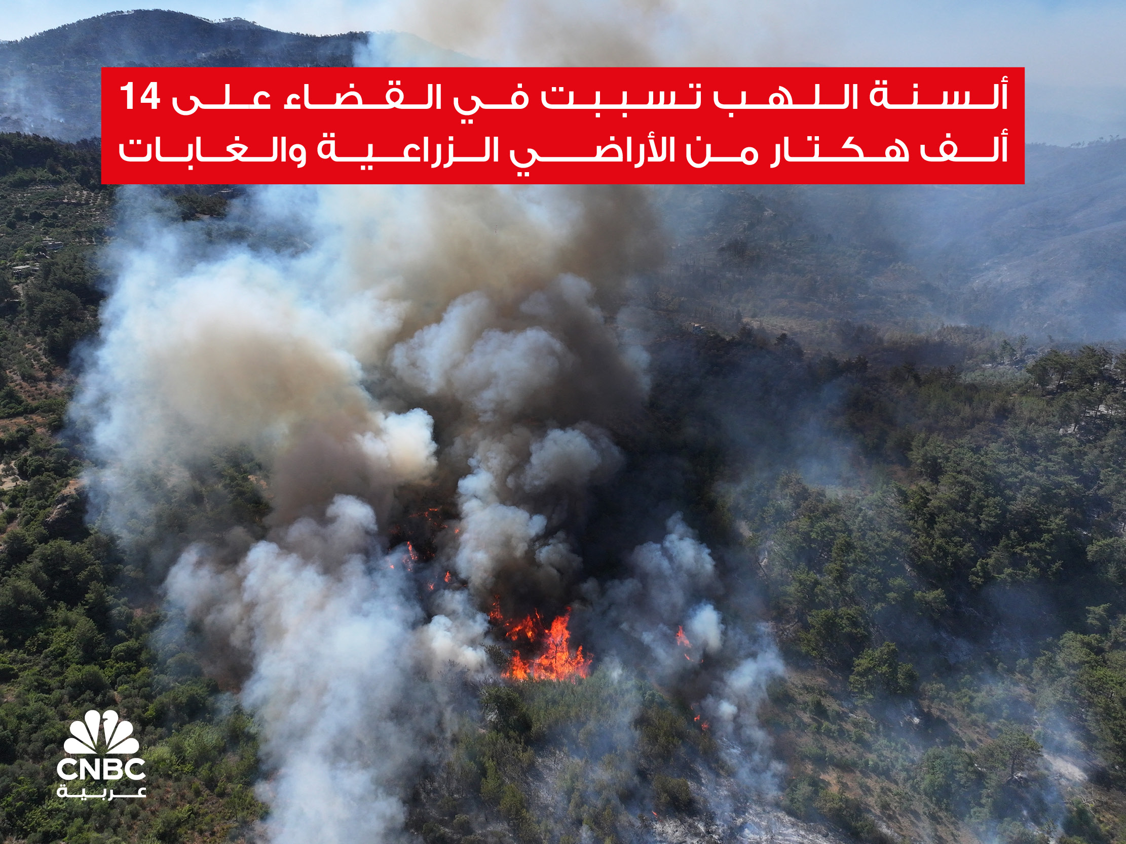 alt for 8418e89535.jpg 