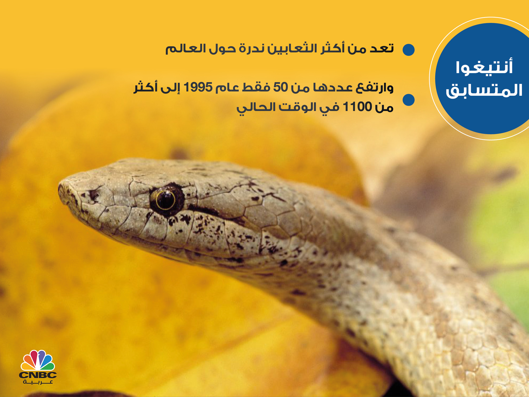 alt for 85c1ea1159.jpg 