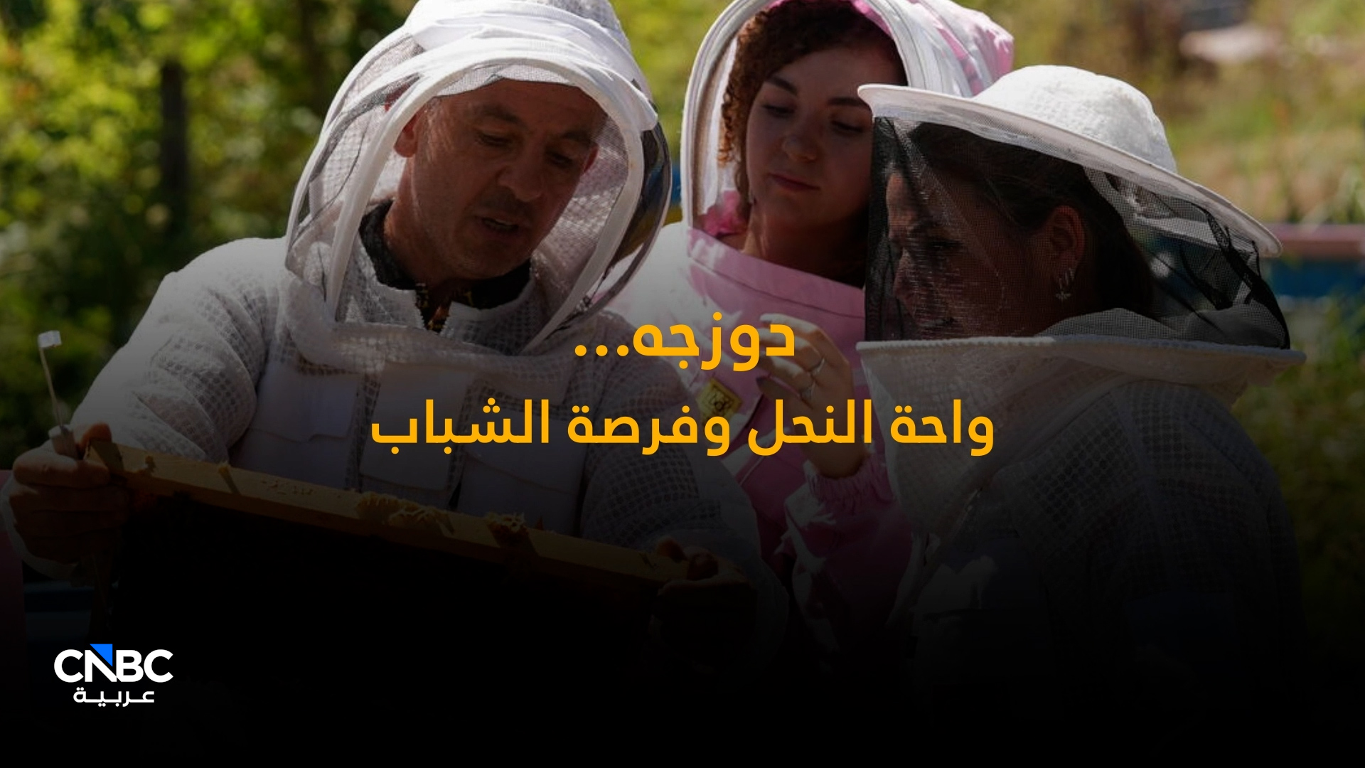 النحل مستقبل واعد في مدينة دورنجه التركية 