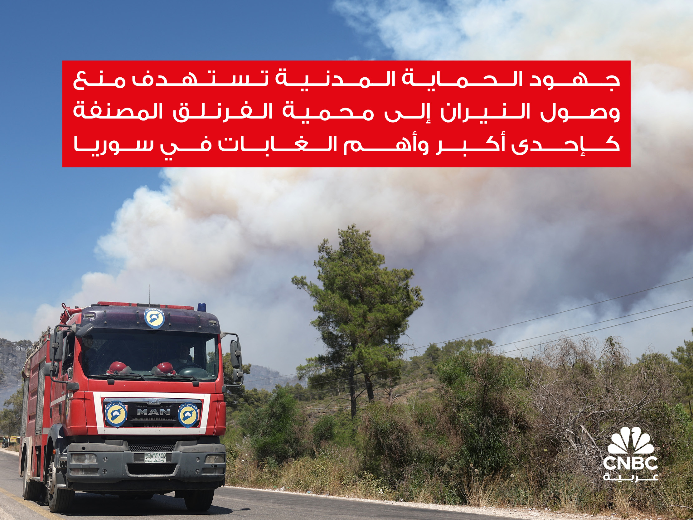 alt for 874532cc79.jpg 