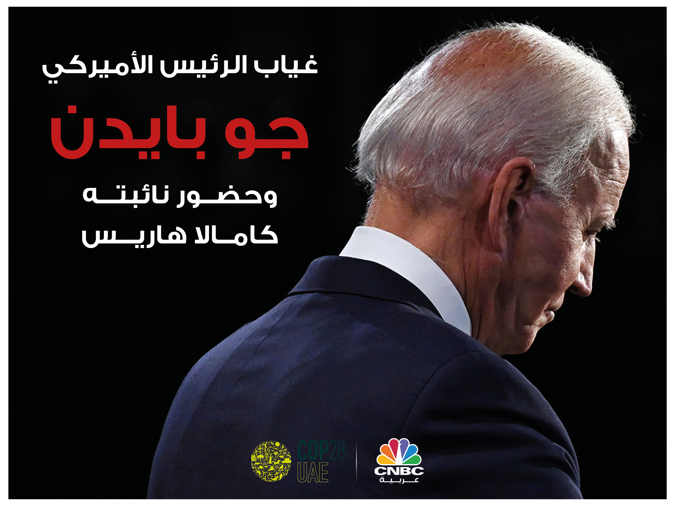 alt for 87b5596545.jpg 