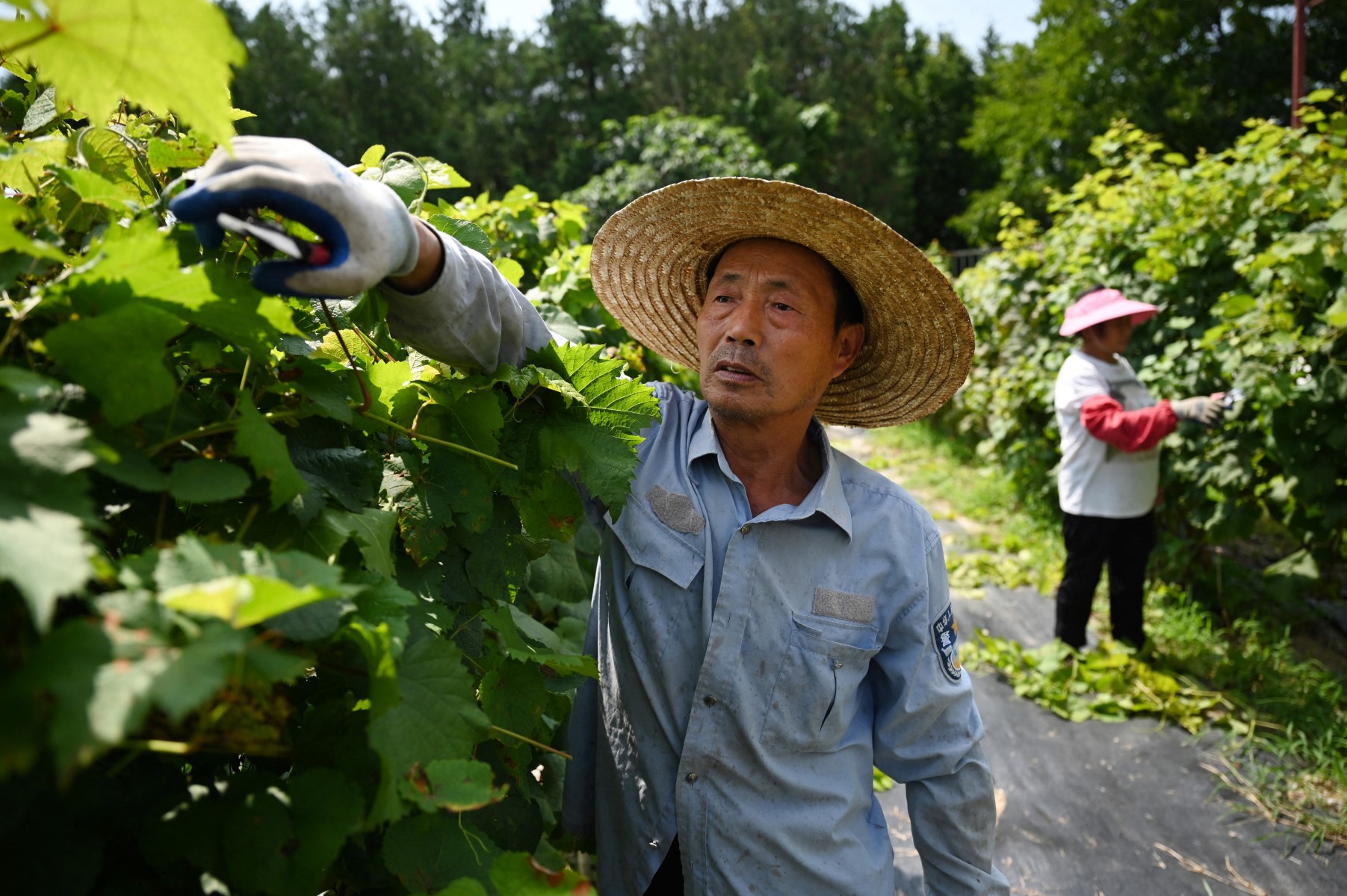 تراجع فرص العمل في المدن يدفع العمال المهاجرين الصينيين للعودة إلى الريف