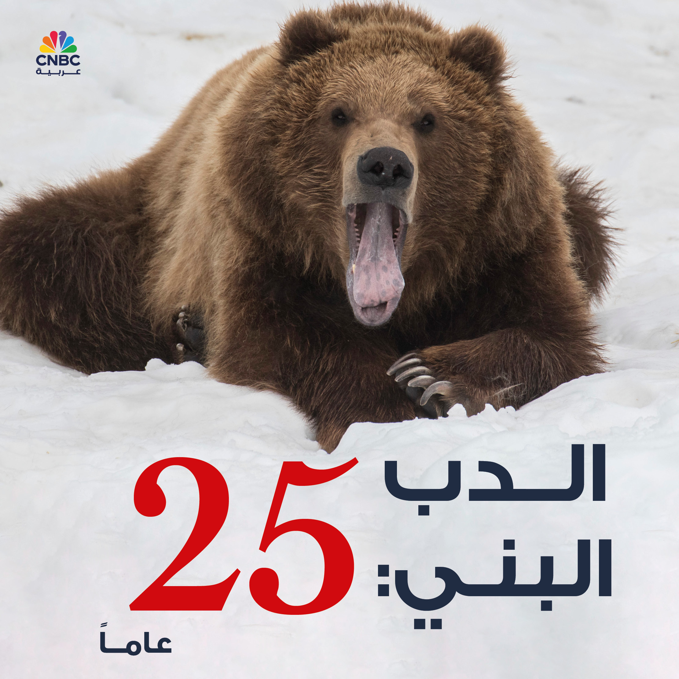 alt for 8a14d10a0d6.jpg 