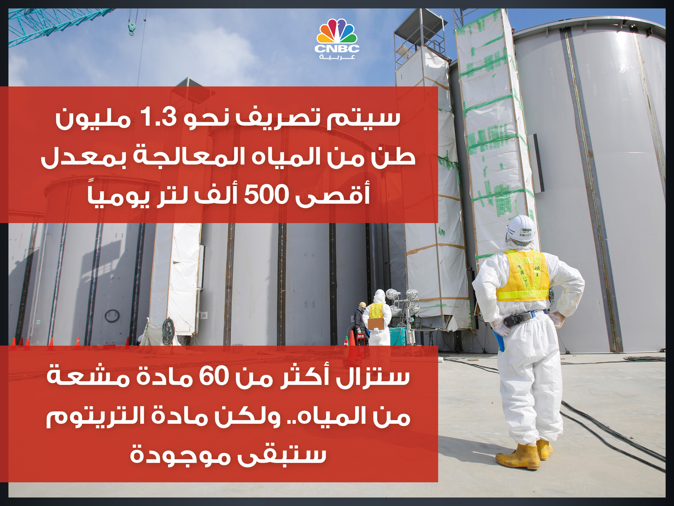 alt for 8a1b569cce.jpg 