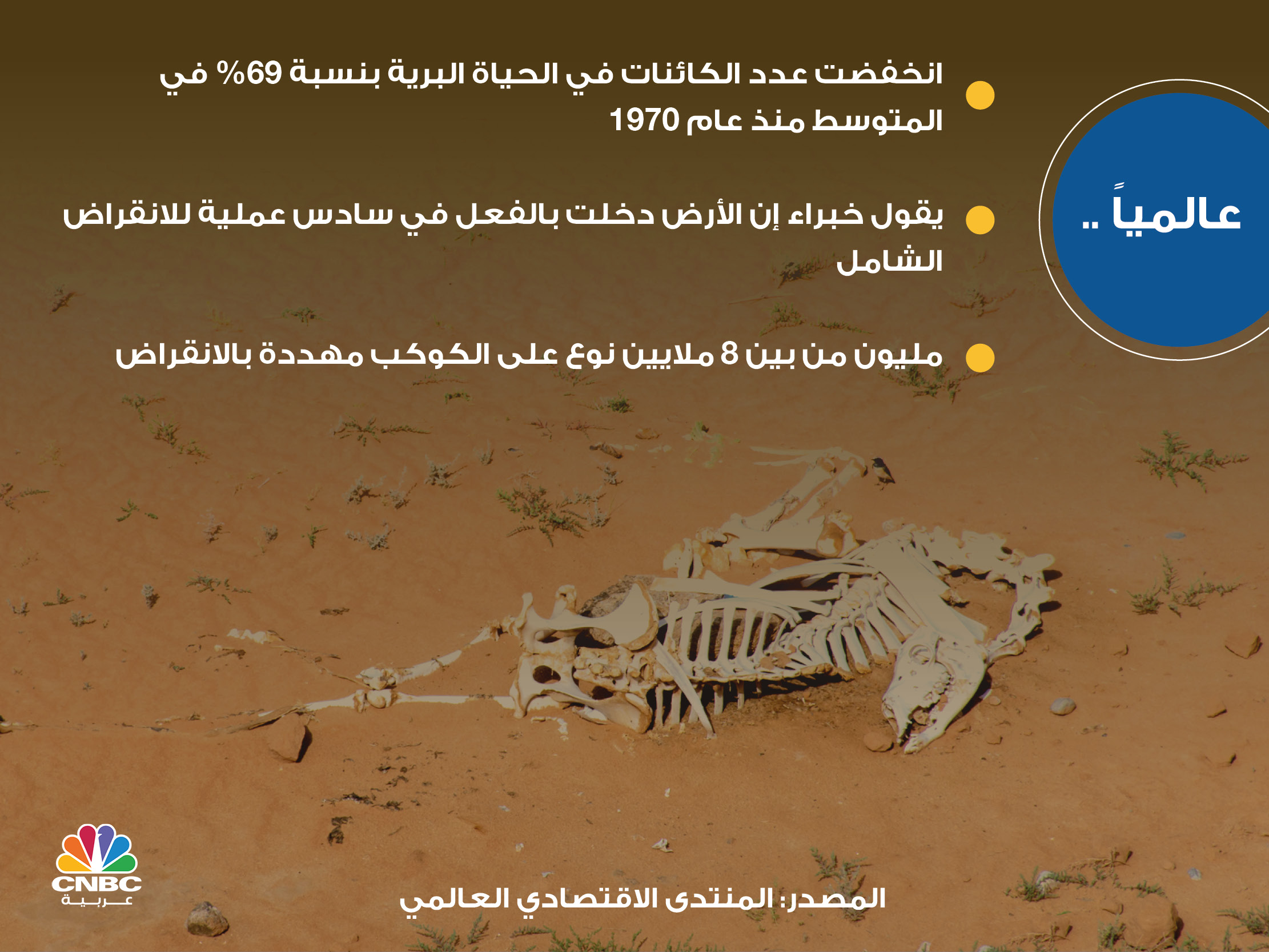 alt for 8a747d9721.jpg 